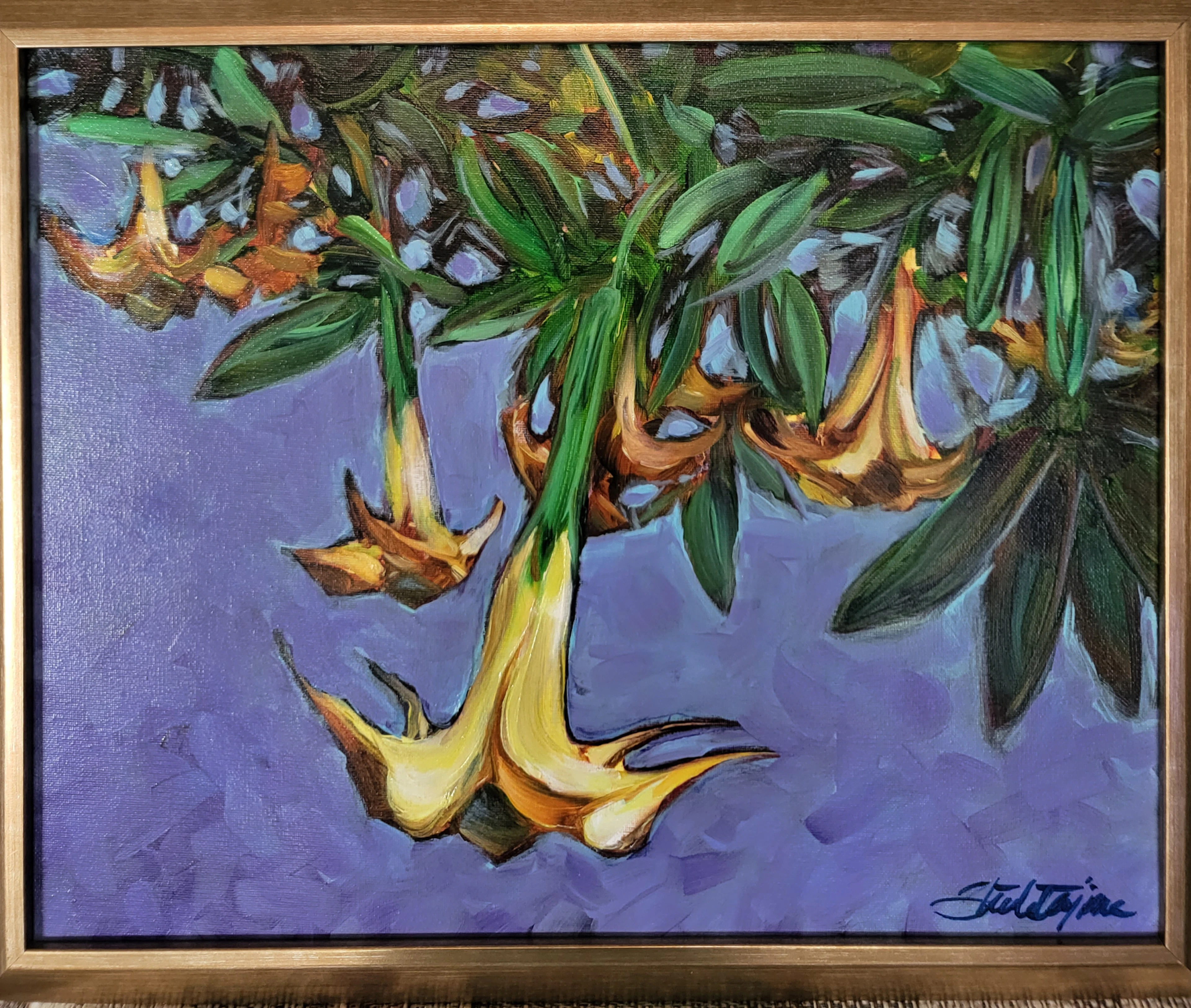 Mendocino Angel Trumpets - Sheila Tajima