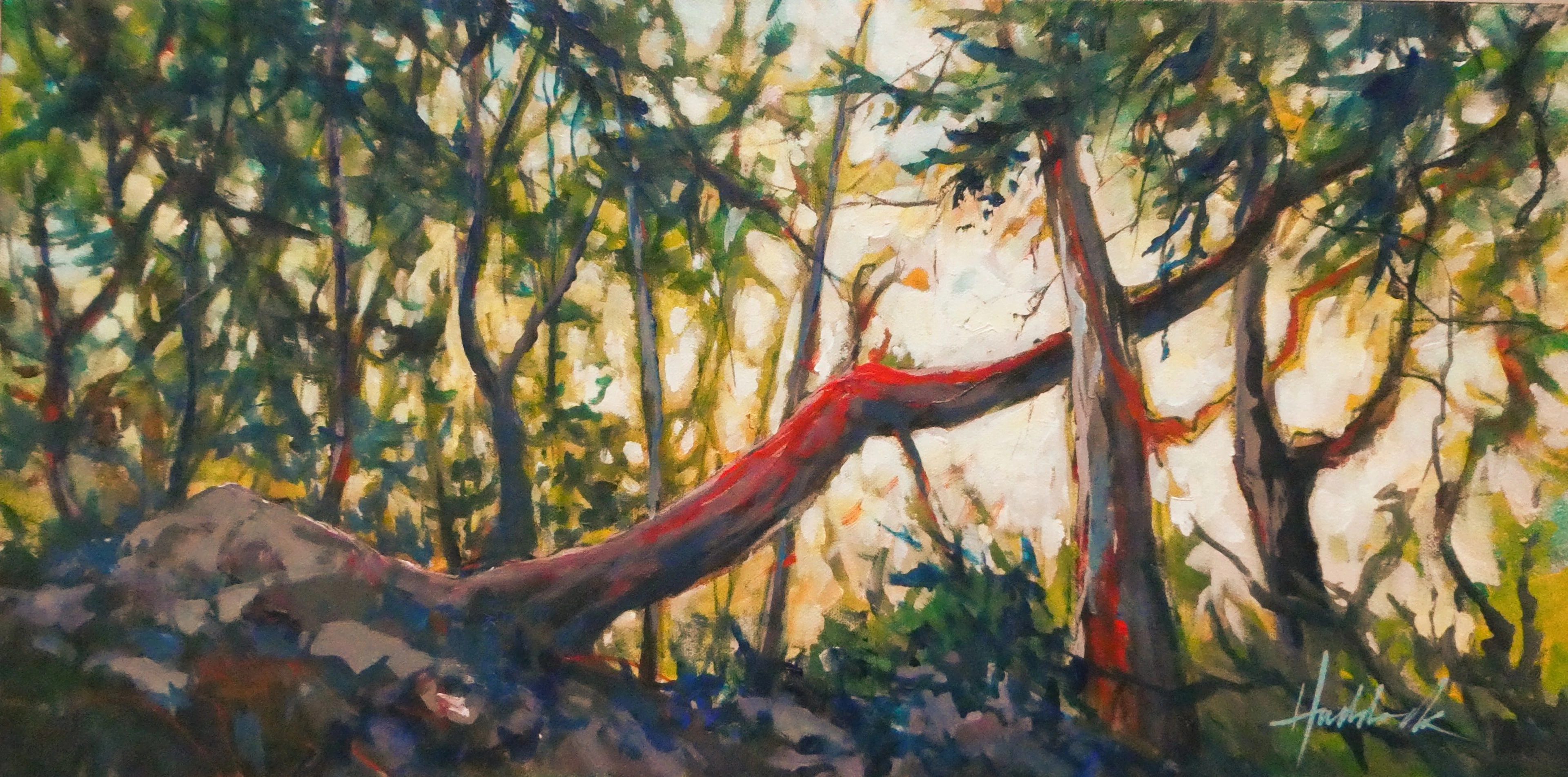Sun-Kissed Grove - Perry Haddock