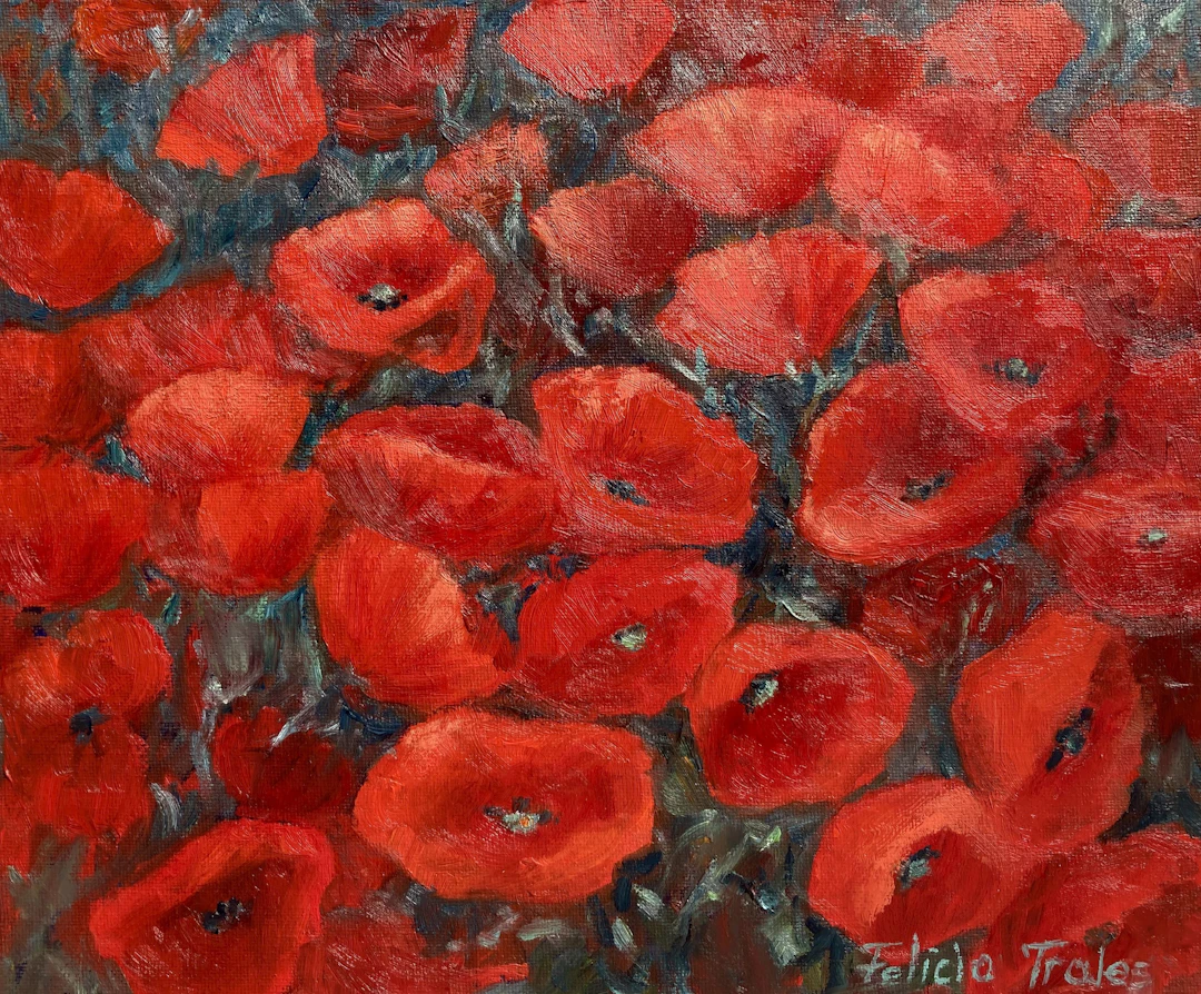Wild Poppies - Felicia Trales