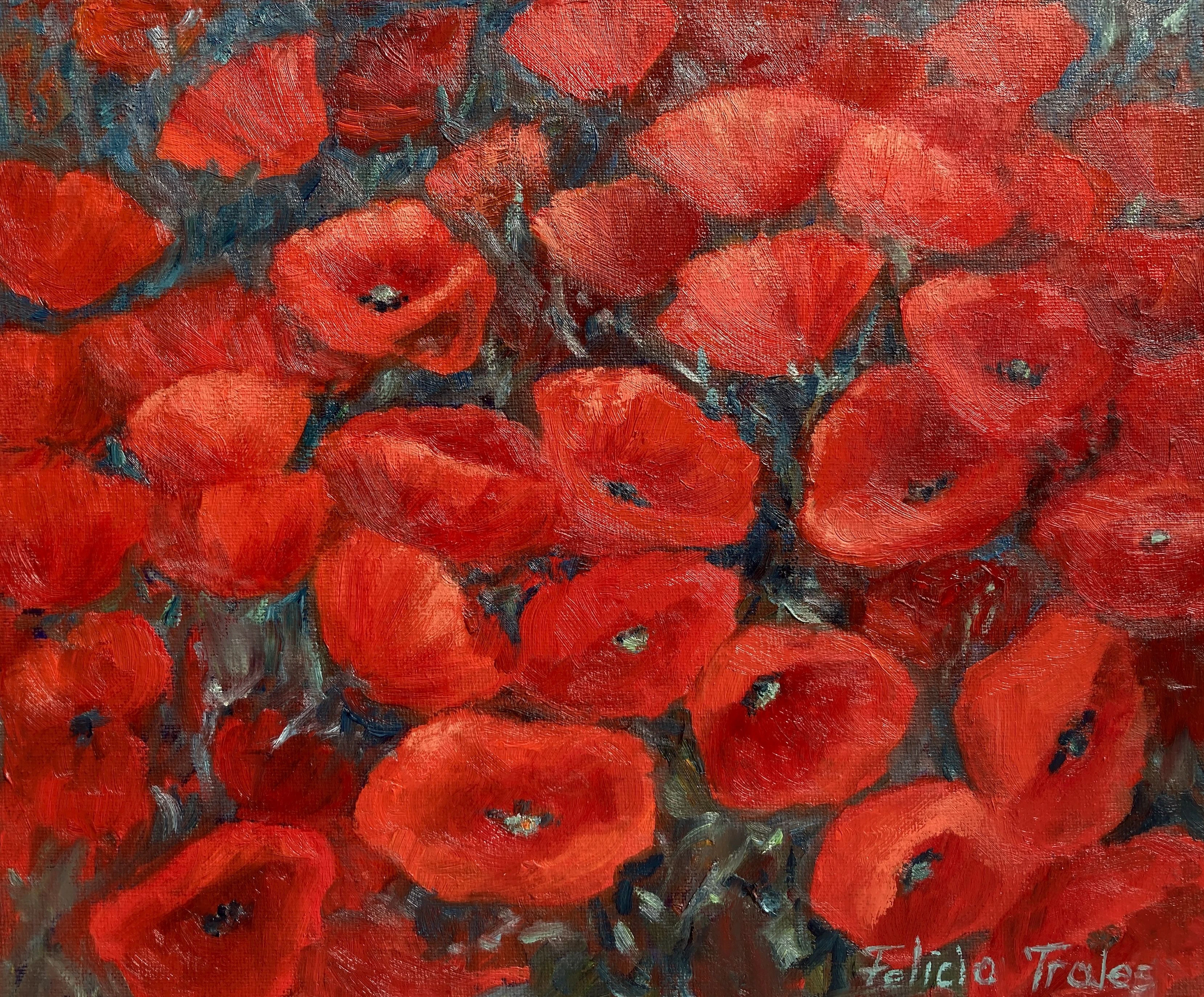 Wild Poppies - Felicia Trales