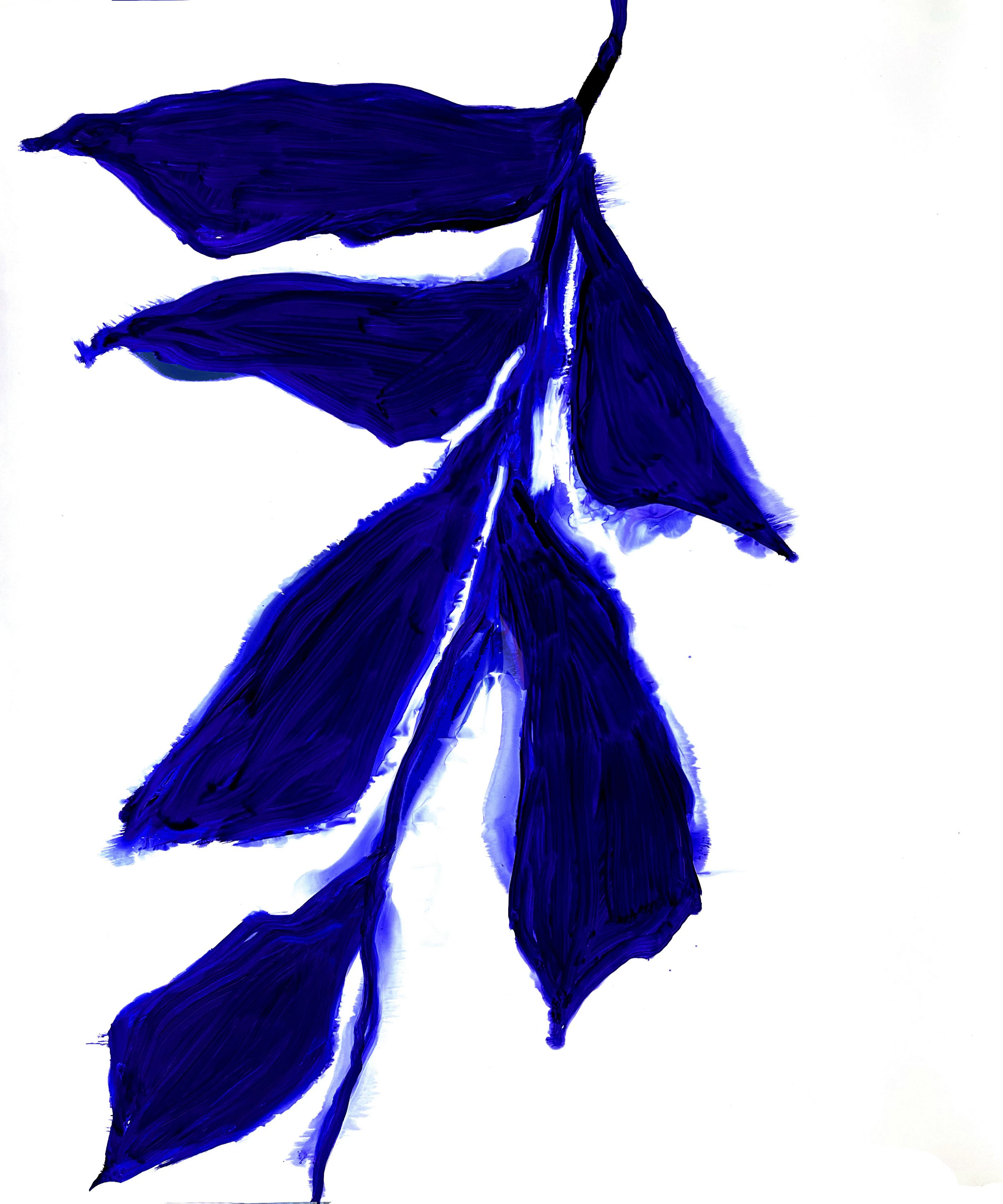 Blue Leaf - SUZ Shippey Borski
