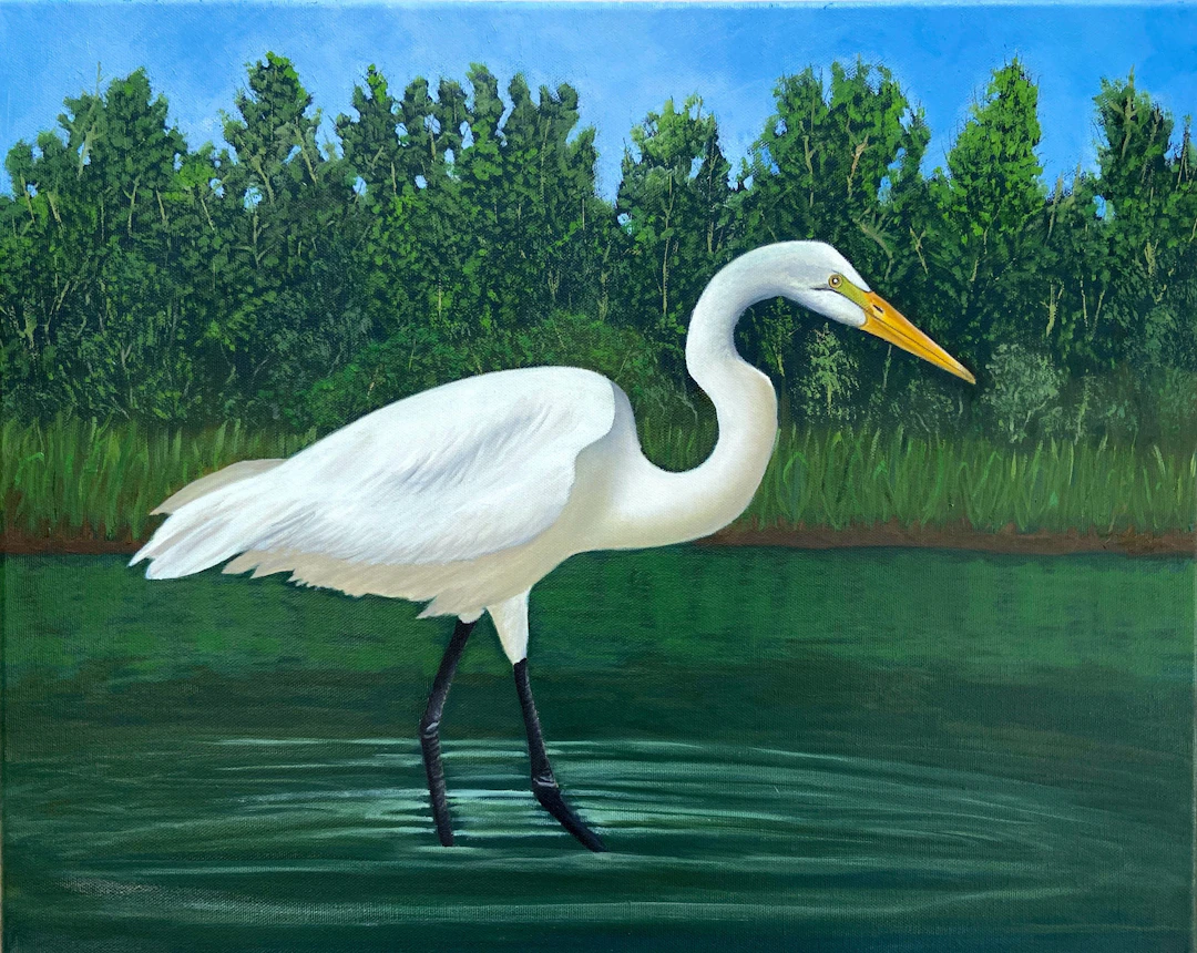 Queen of the Pond - David Sipko