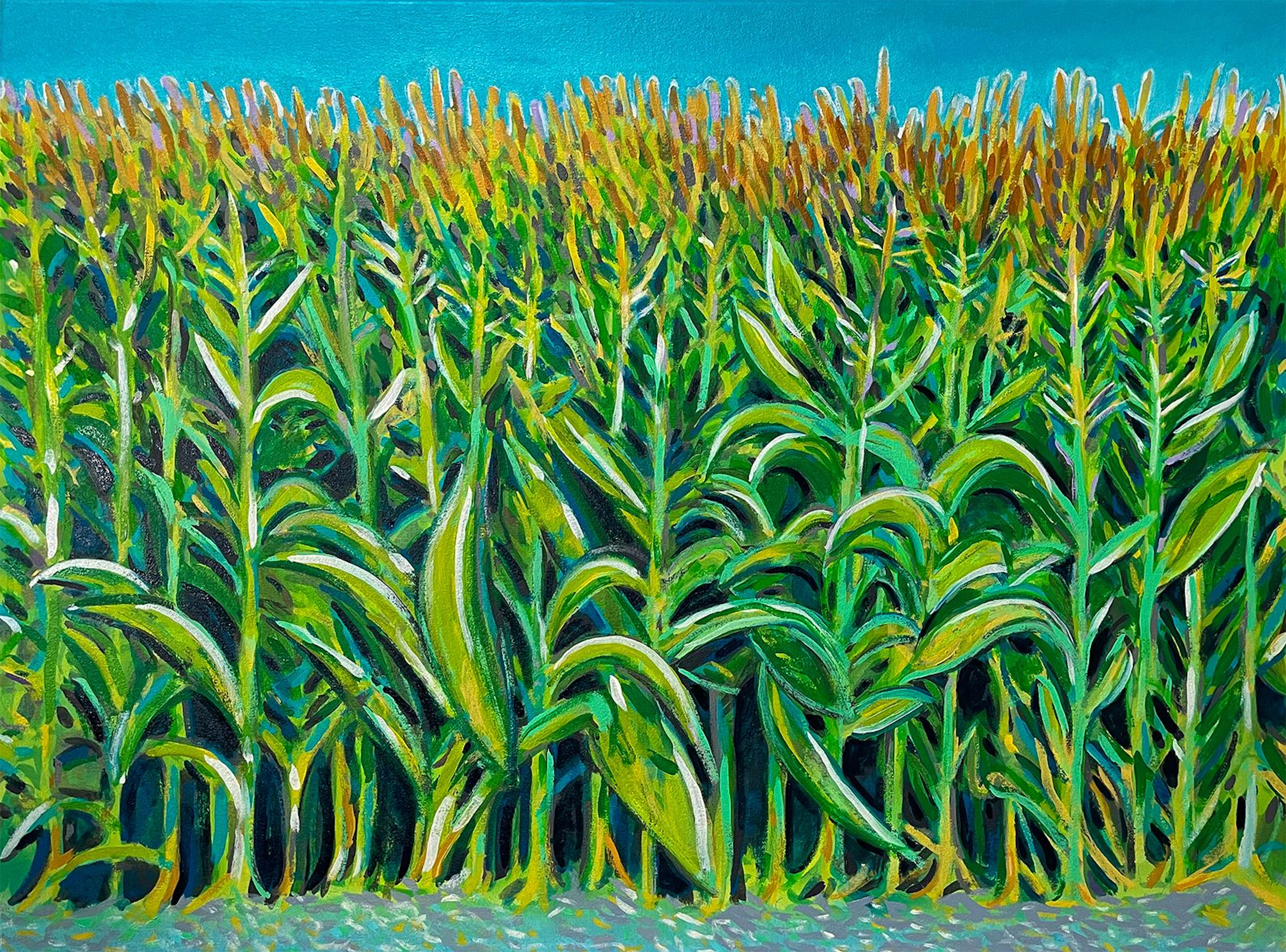 Cornfield at Dawn - Dwayne Wolff
