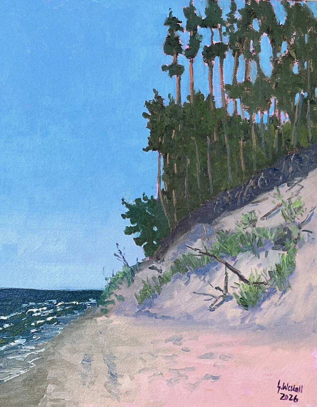 At the Edge of the Dune - Gary Westall