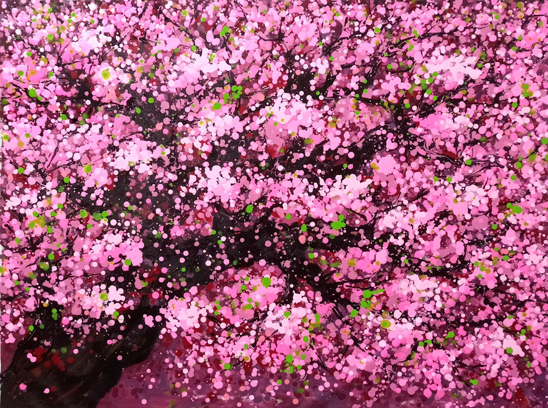 SAKURA- CHERRY BLOSSOM - Hoang Phuong