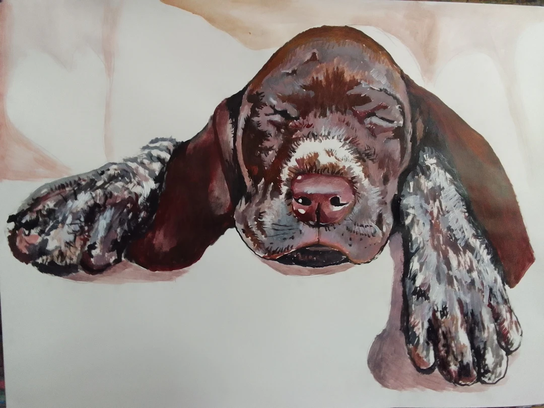 Puppy - soso kumsiashvili