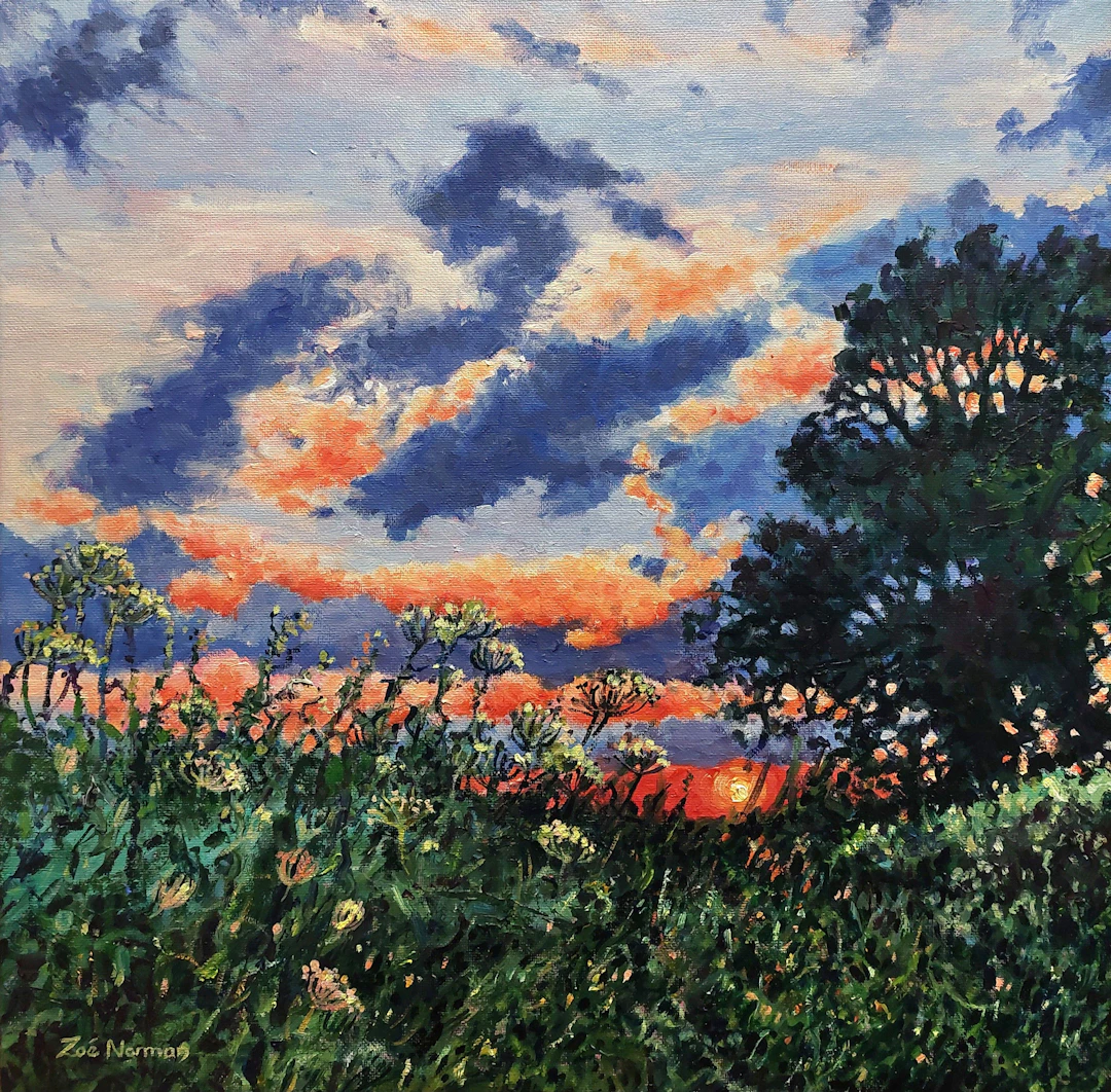 Evening light - sunset - Zoe Elizabeth Norman