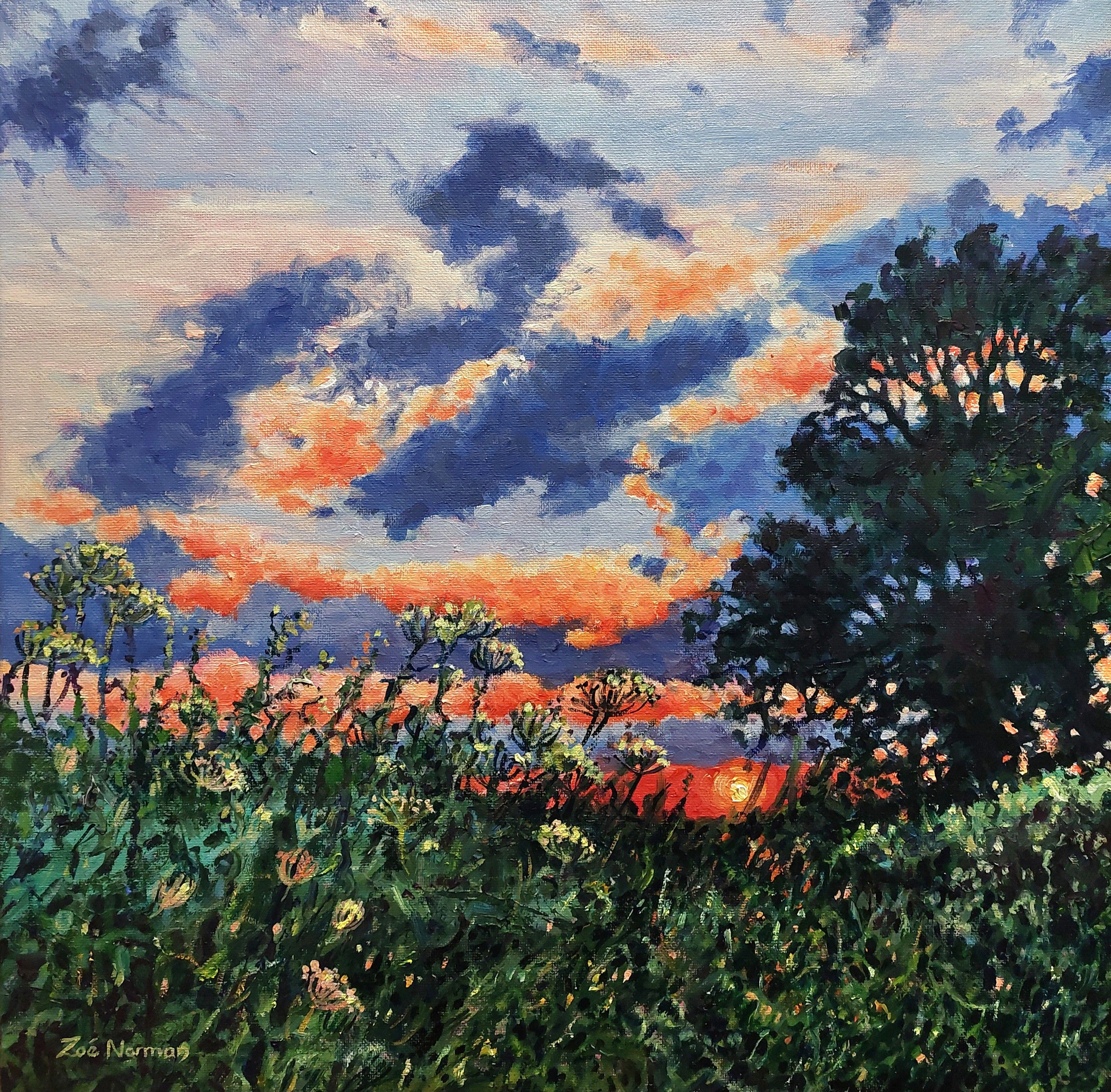 Evening light - sunset - Zoe Elizabeth Norman