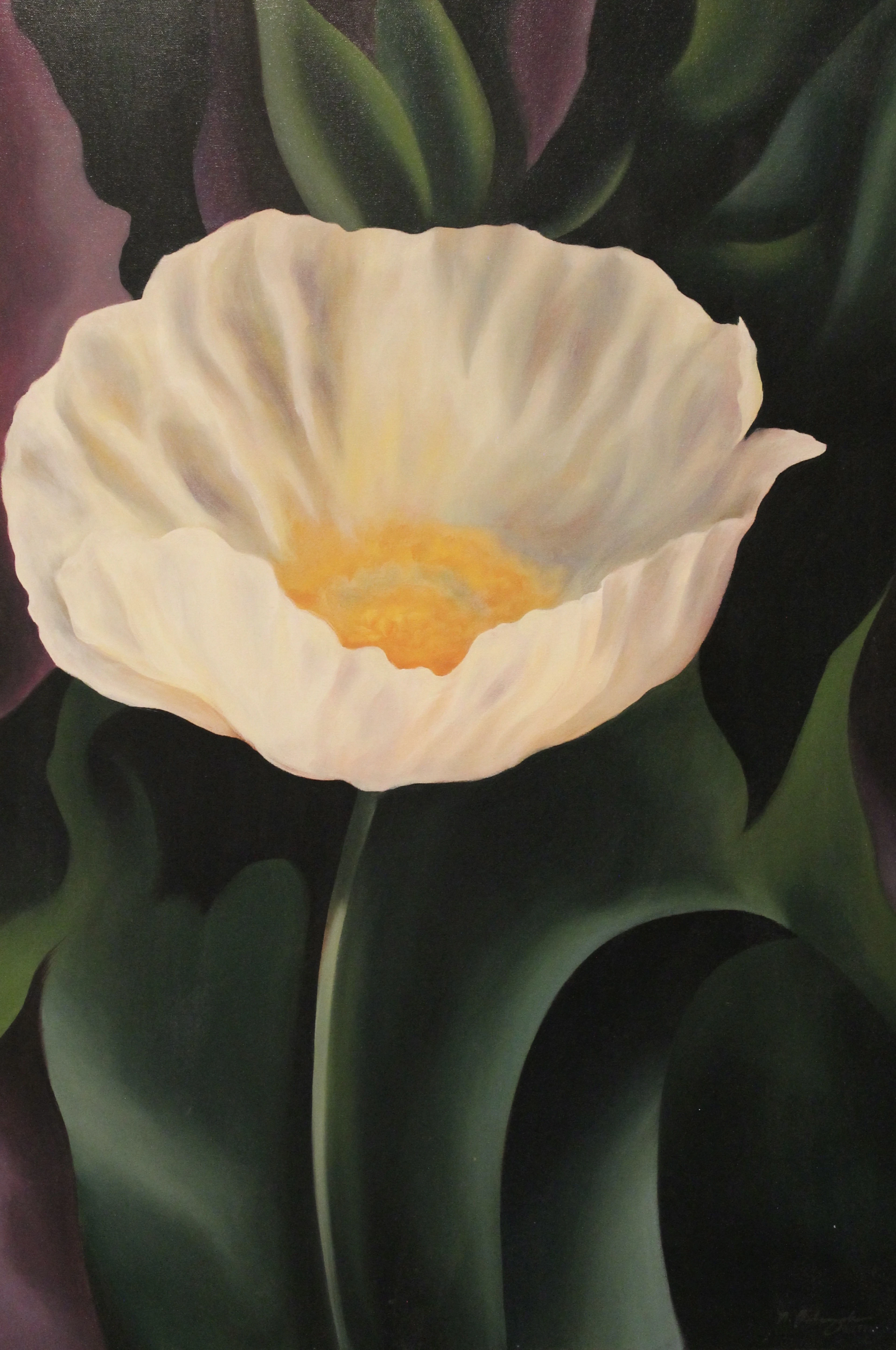 White Poppy - Naoko Paluszak