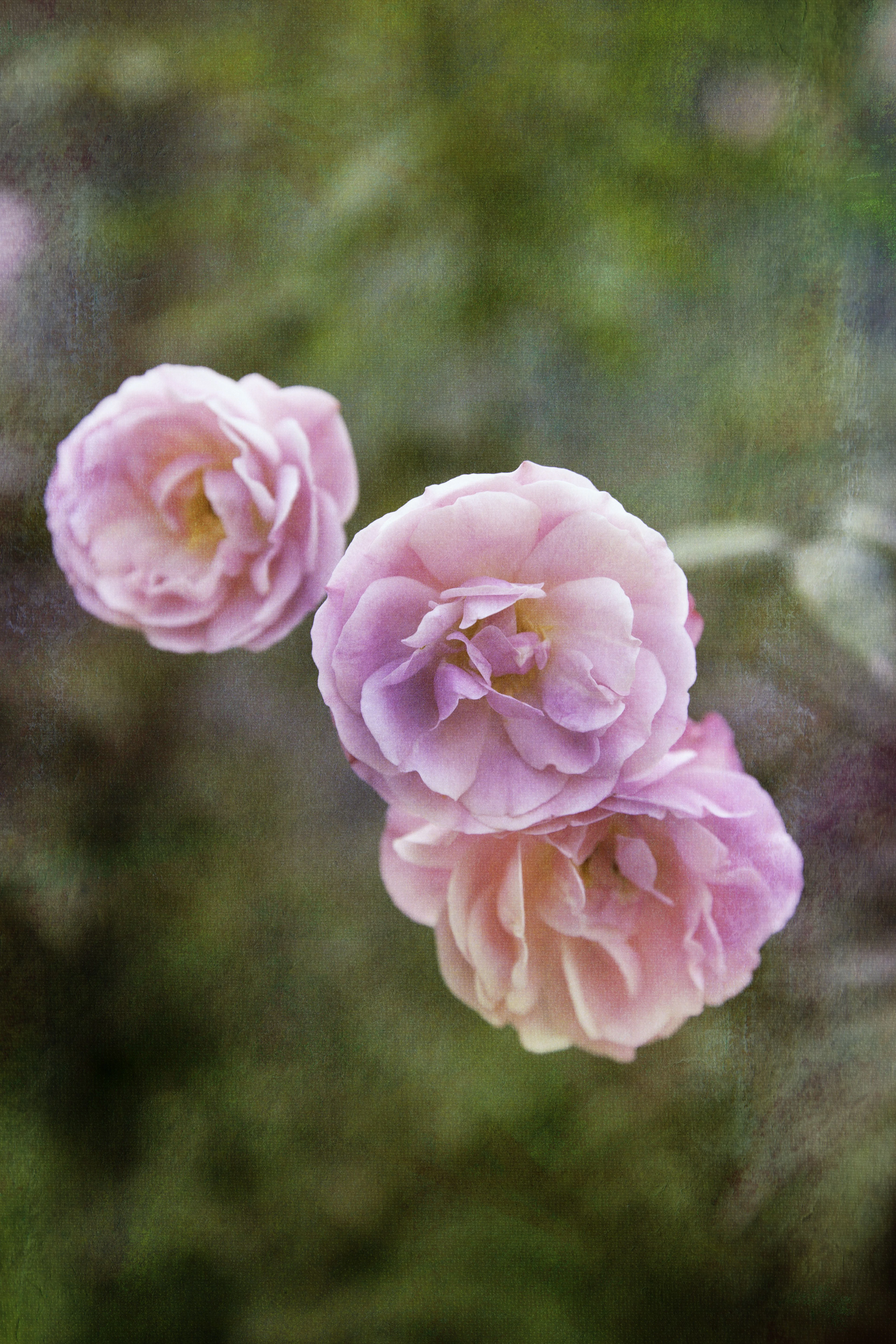 Garden of Time IV - Viet Ha Tran