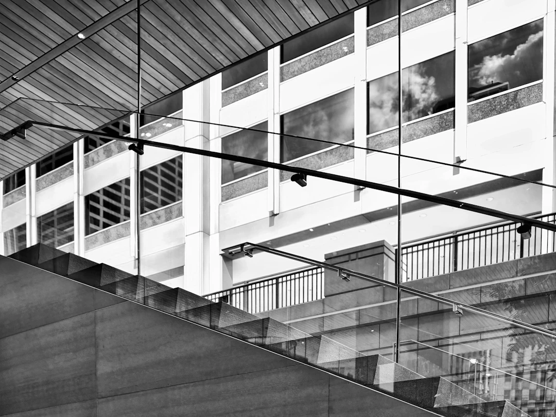 SHADOW OF THE STAIRCASE Chicago IL - William Dey