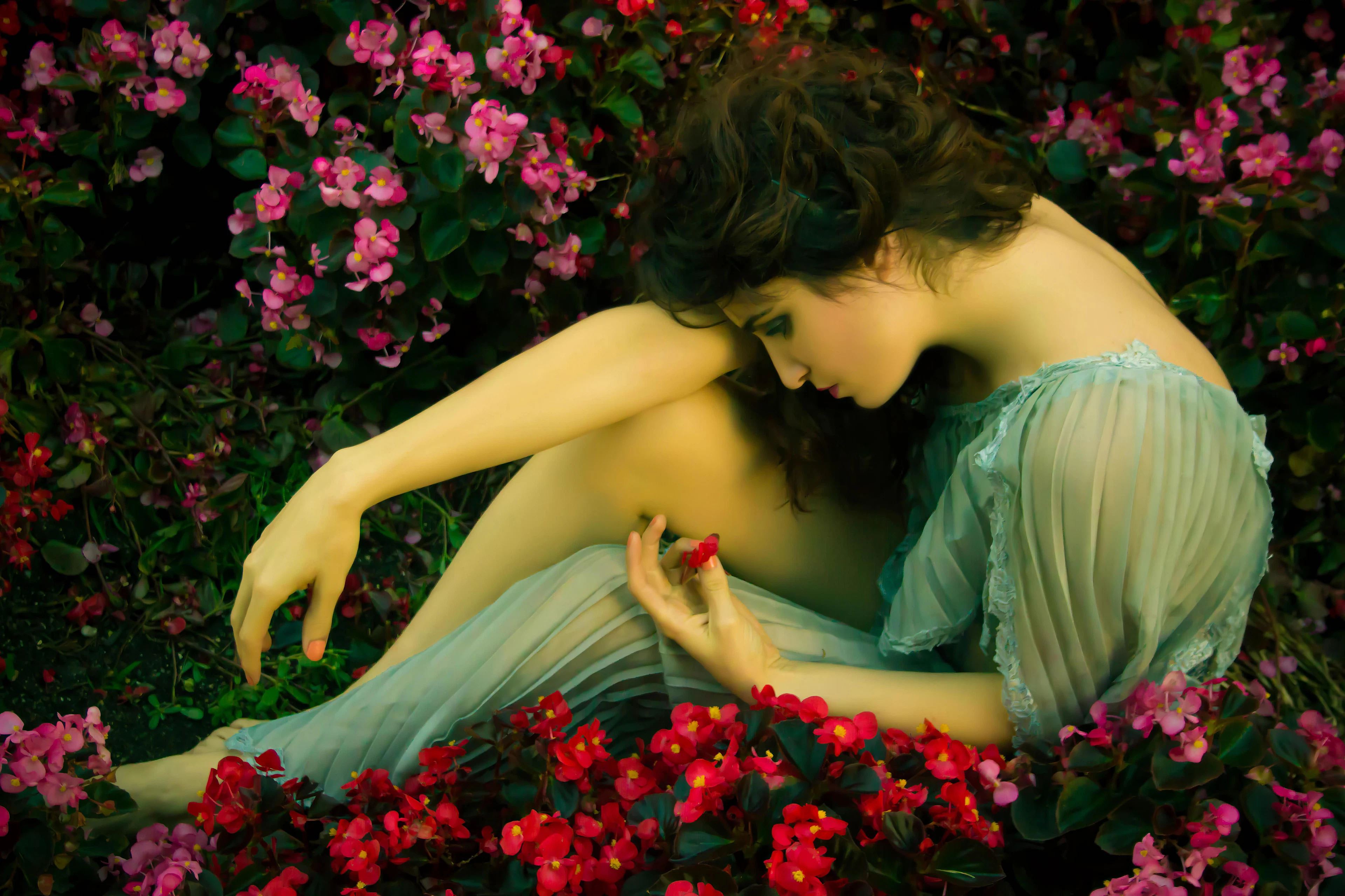 Renaissance muse - Viet Ha Tran