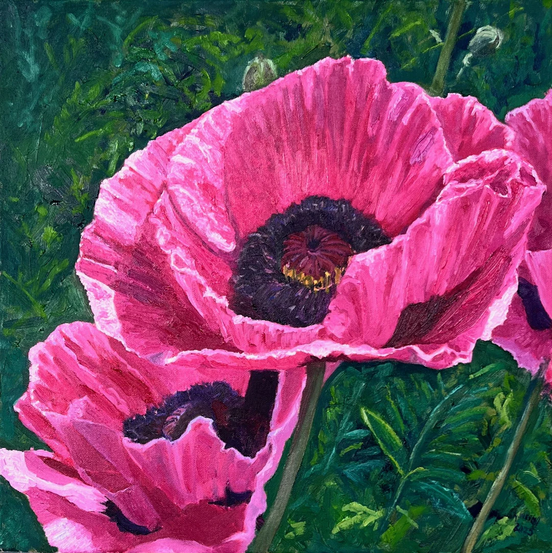 A moment in pink - Gary Westall