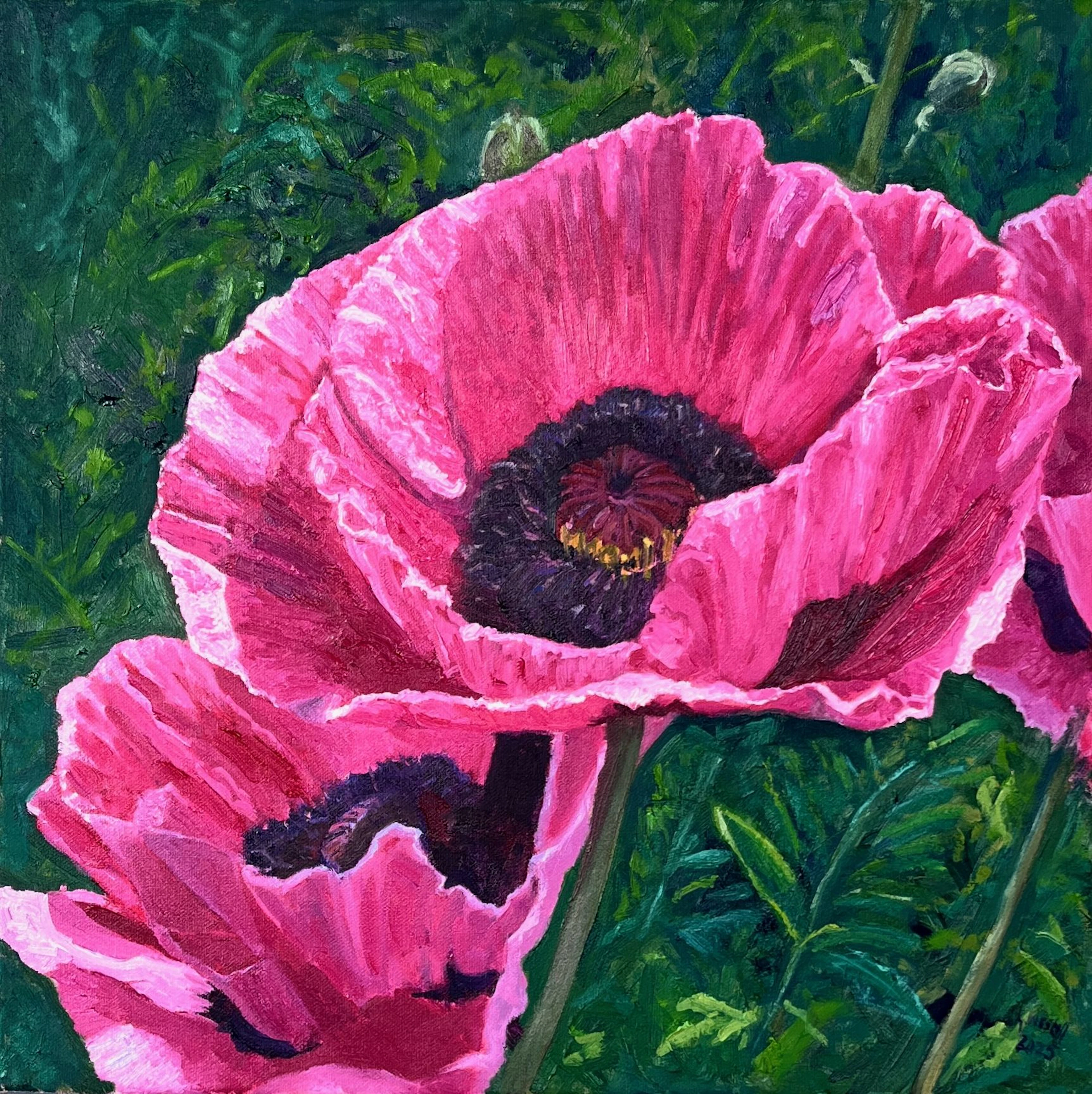 A moment in pink - Gary Westall