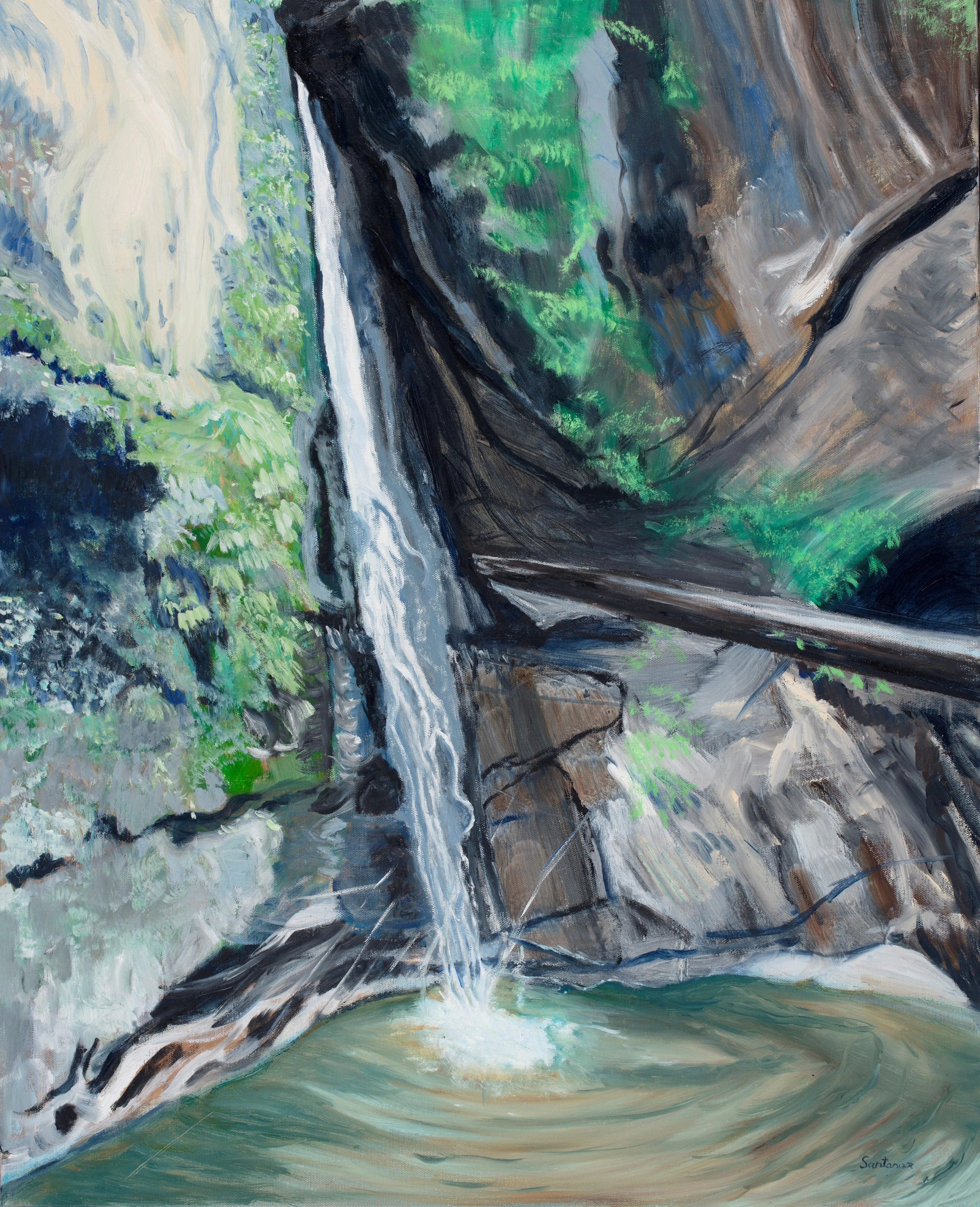 Maple Falls - Santana Star
