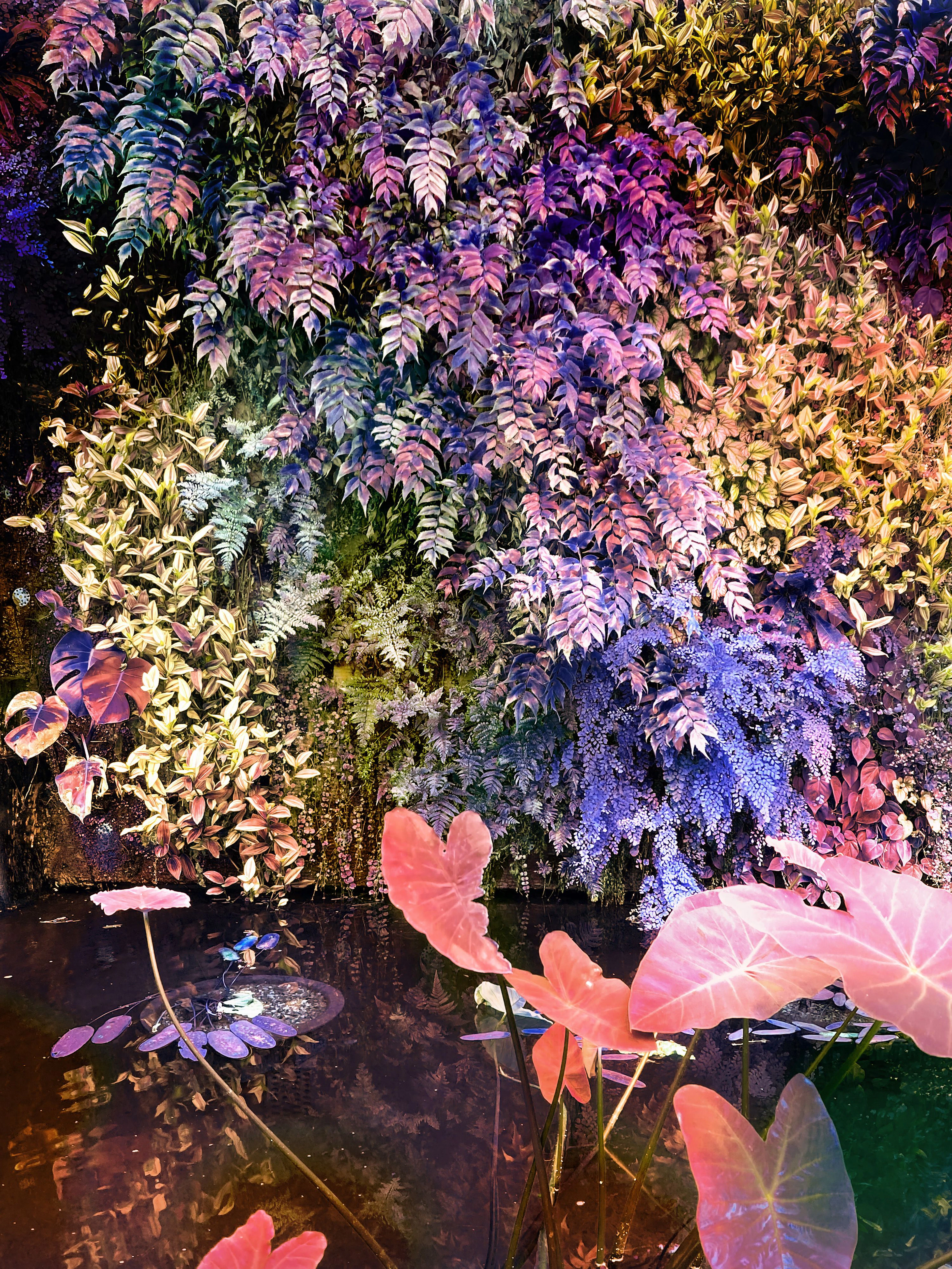 Secret Garden V - Viet Ha Tran