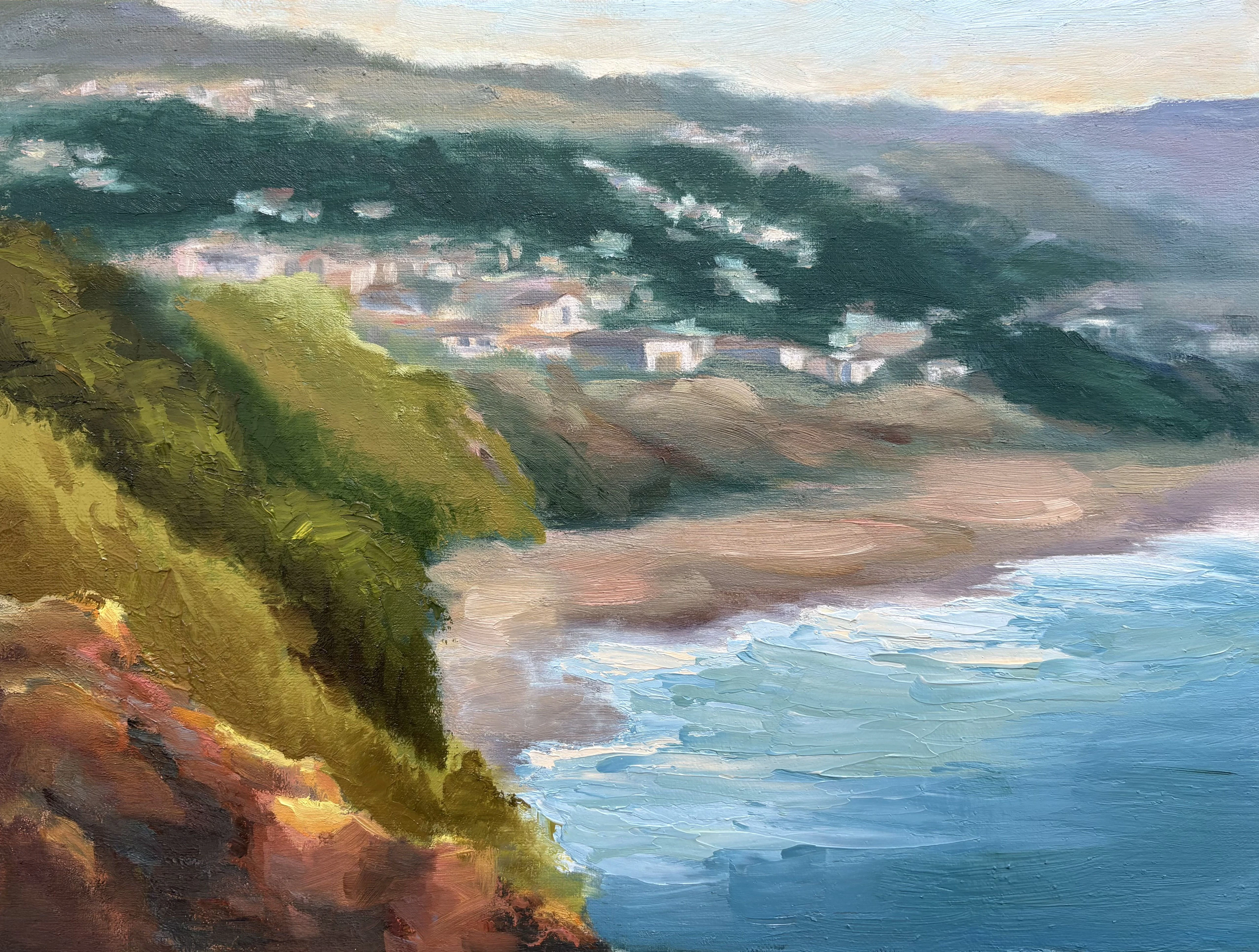 A View from Above Cresent Bay - Grace Diehl