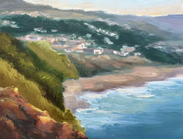 A View from Above Cresent Bay - Grace Diehl