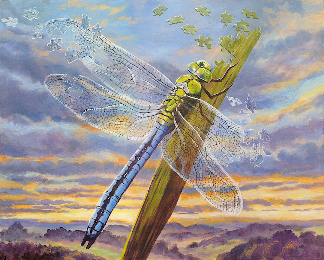In Pieces - Dragonfly - Daniel Loveday