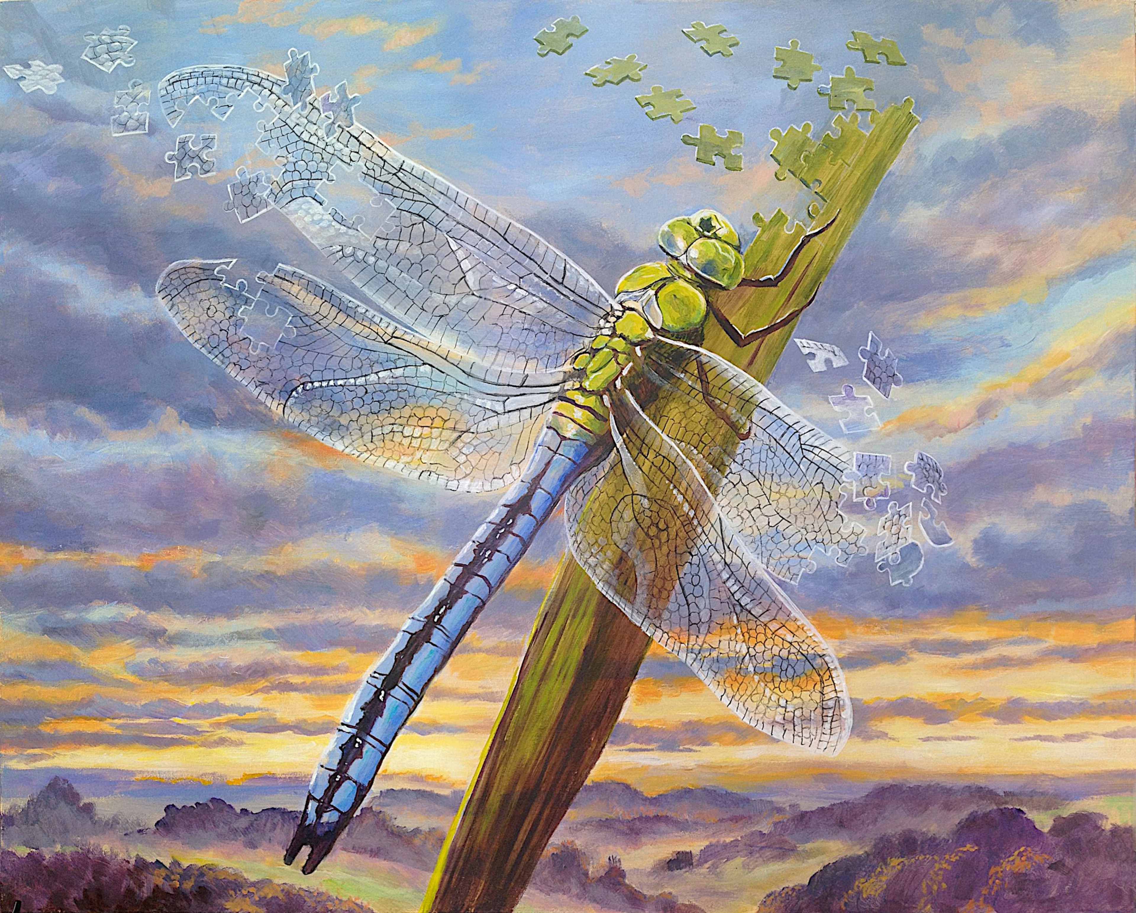 In Pieces - Dragonfly - Daniel Loveday
