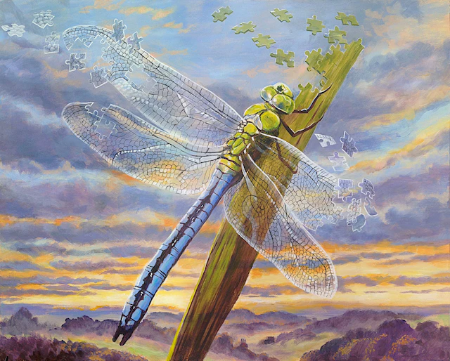 In Pieces - Dragonfly - Daniel Loveday