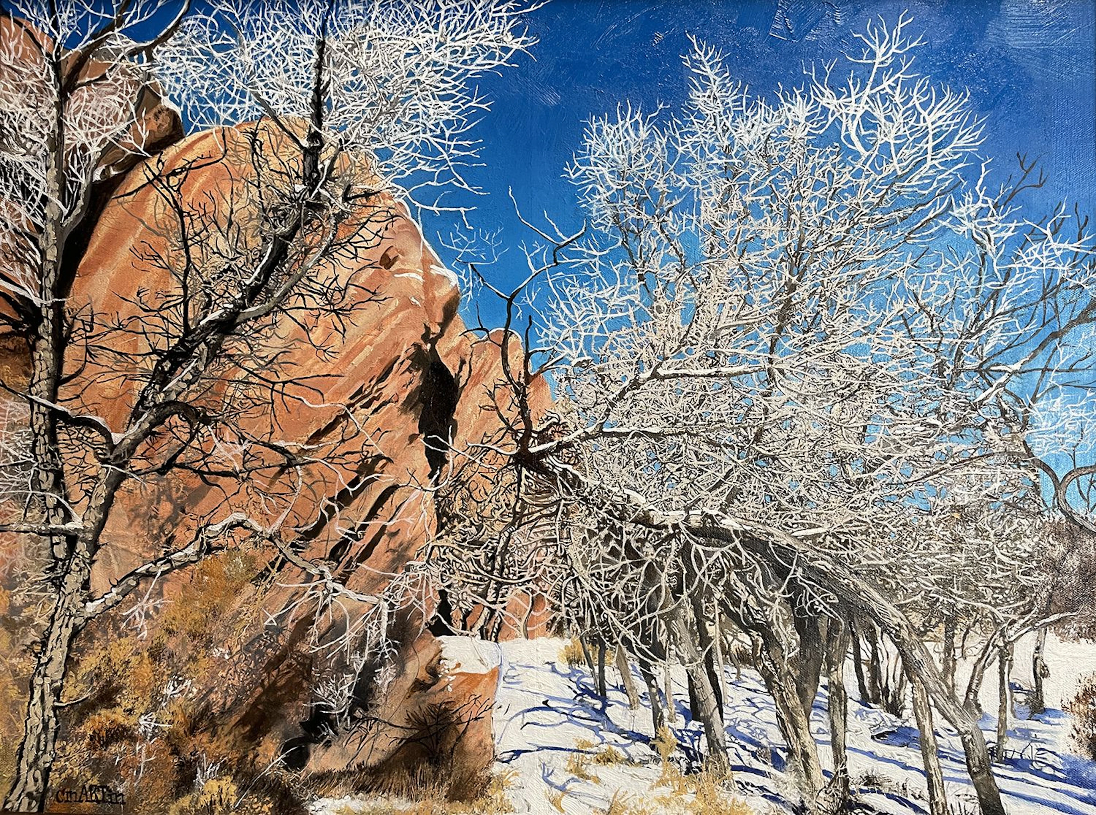 Red Rocks and White Lace - Carrie Martin