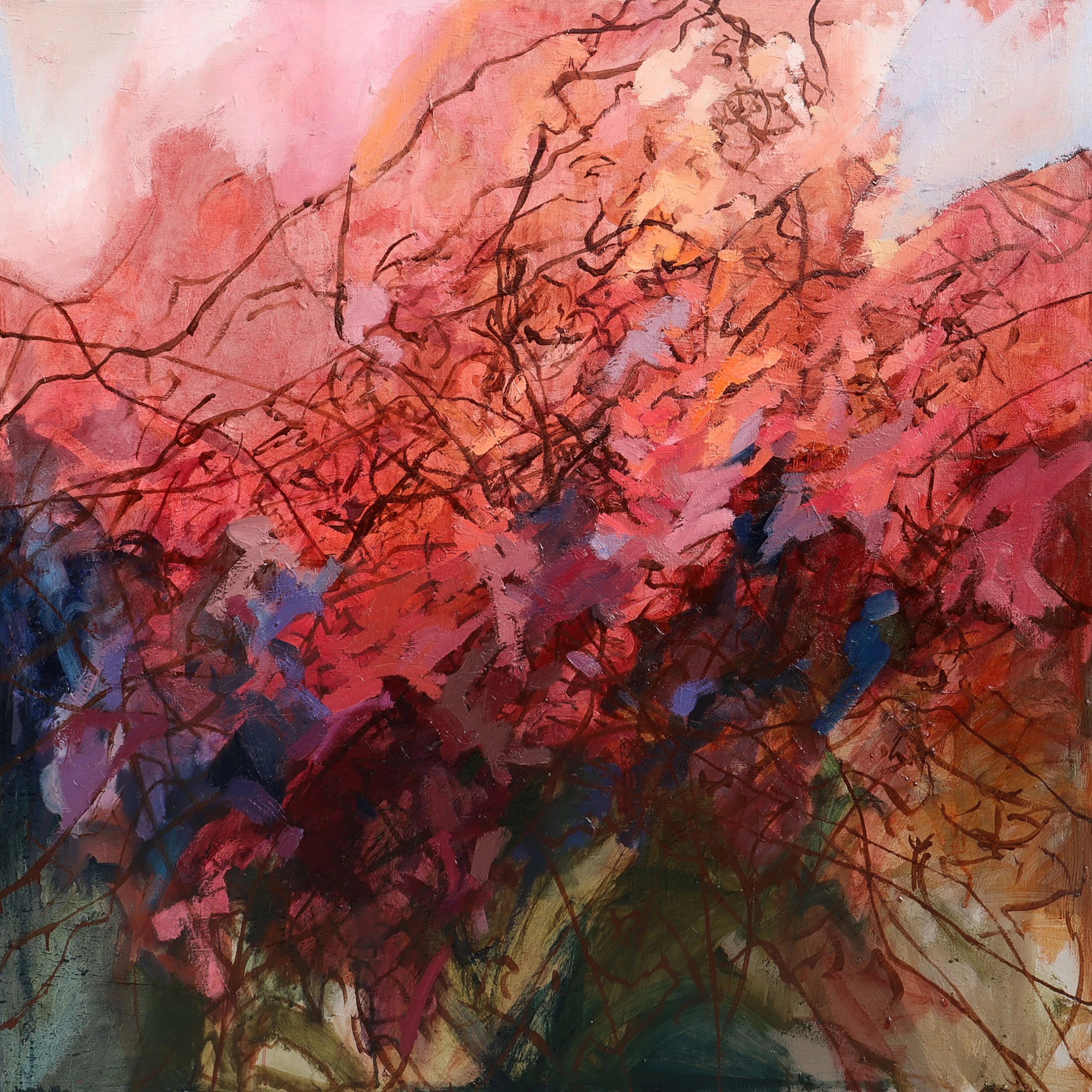 tangled in the sunrise - Shannon Evans