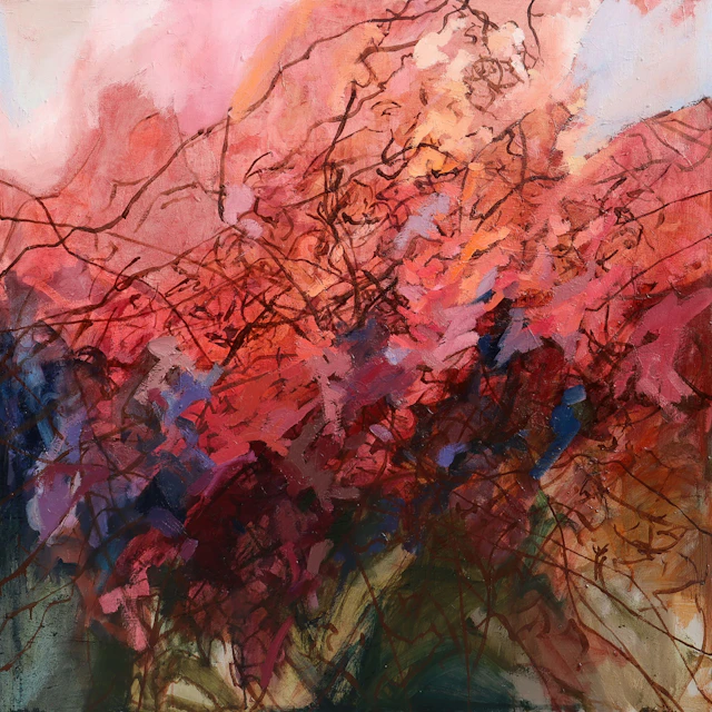 tangled in the sunrise - Shannon Evans