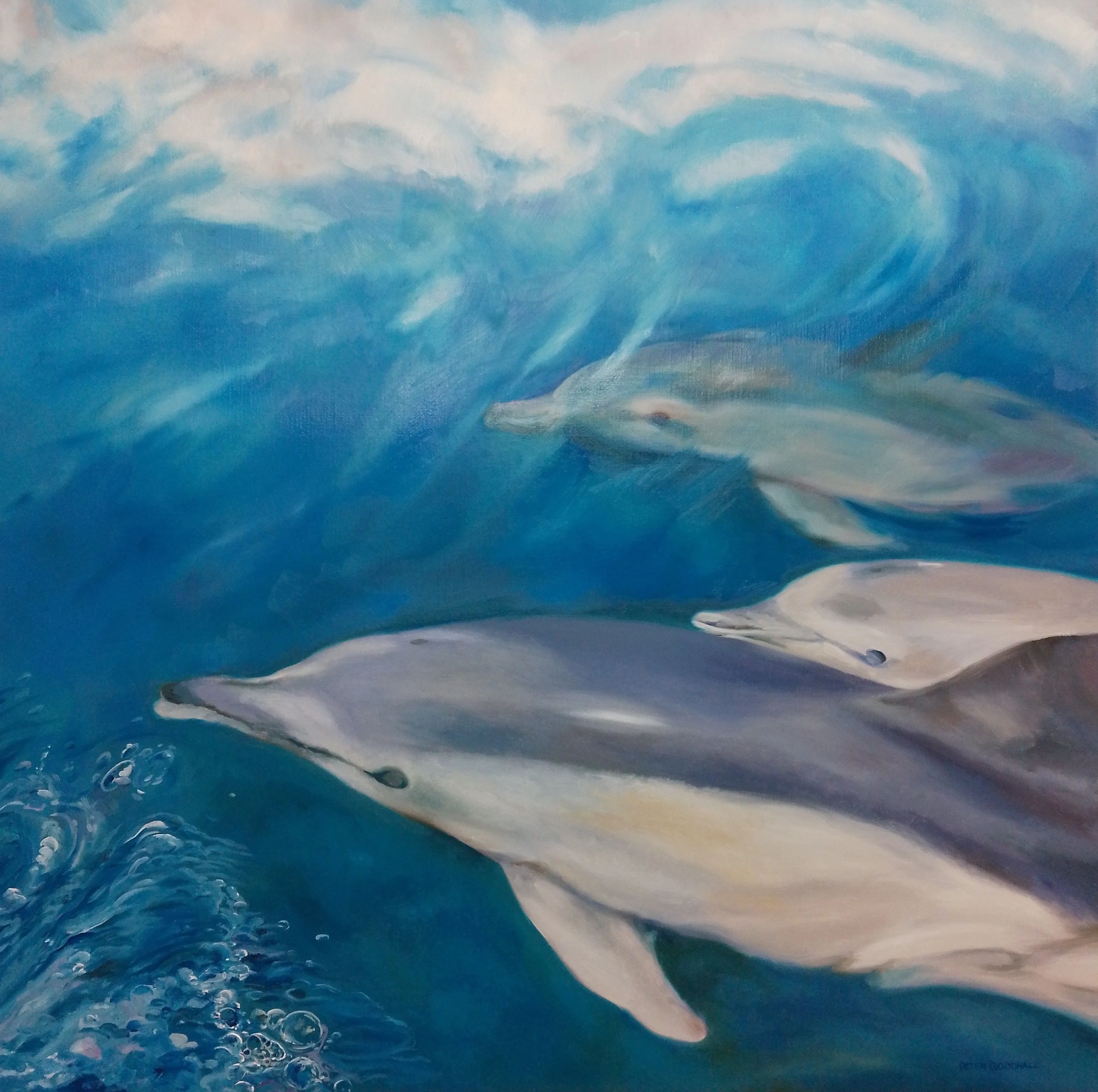 DOLPHINS ON THE STARBOARD BOW - PETER GOODHALL