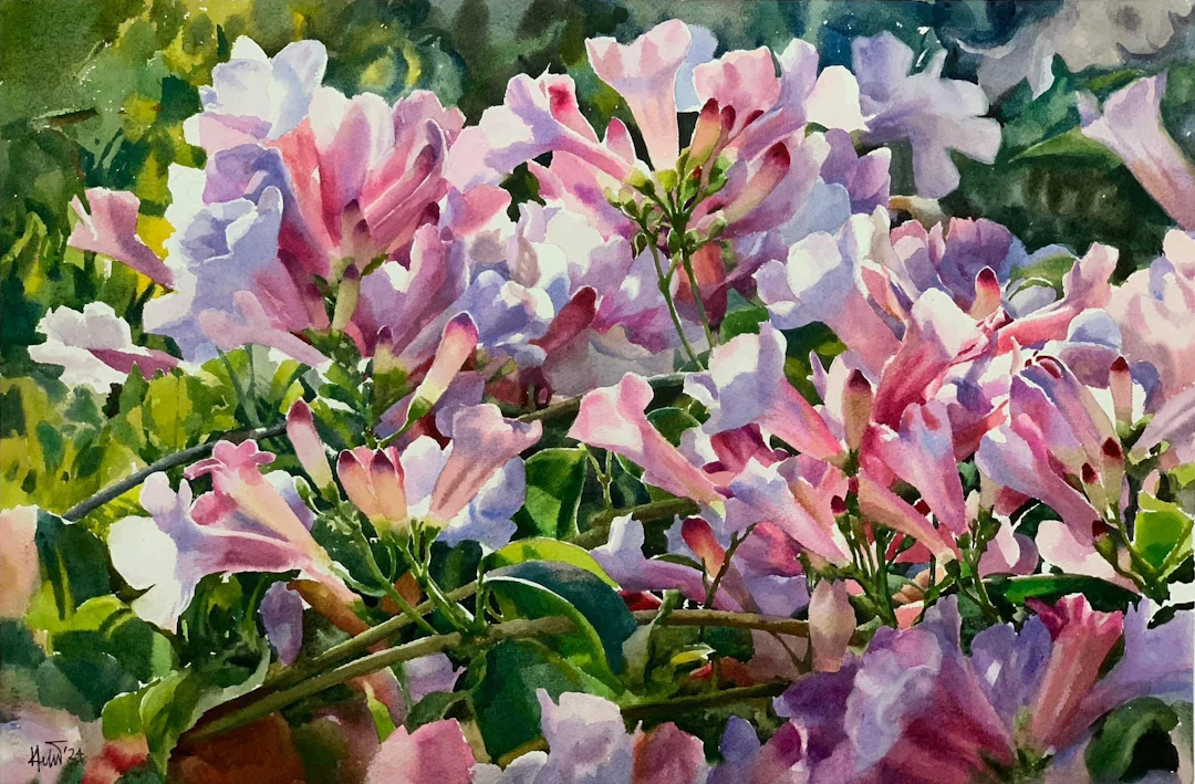Garlic Vine Flower - Helal Uddin