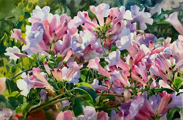 Garlic Vine Flower - Helal Uddin