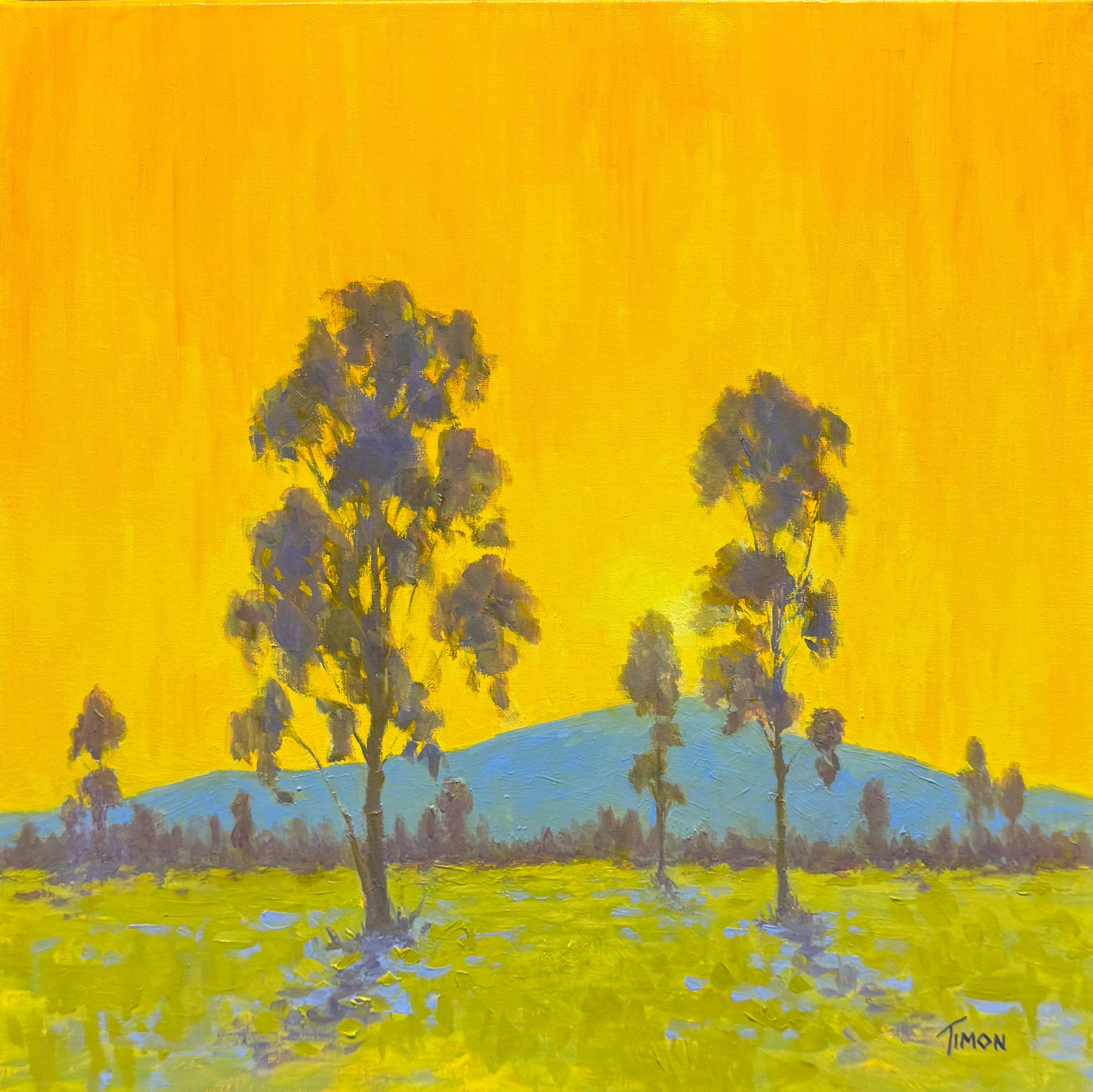 Blooming Sky - Timon Sloane