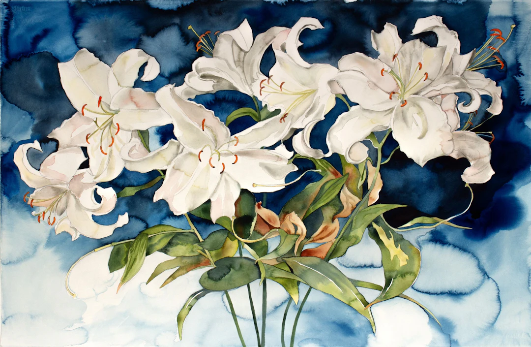 Lily Bouquet - Elizabeth Becker