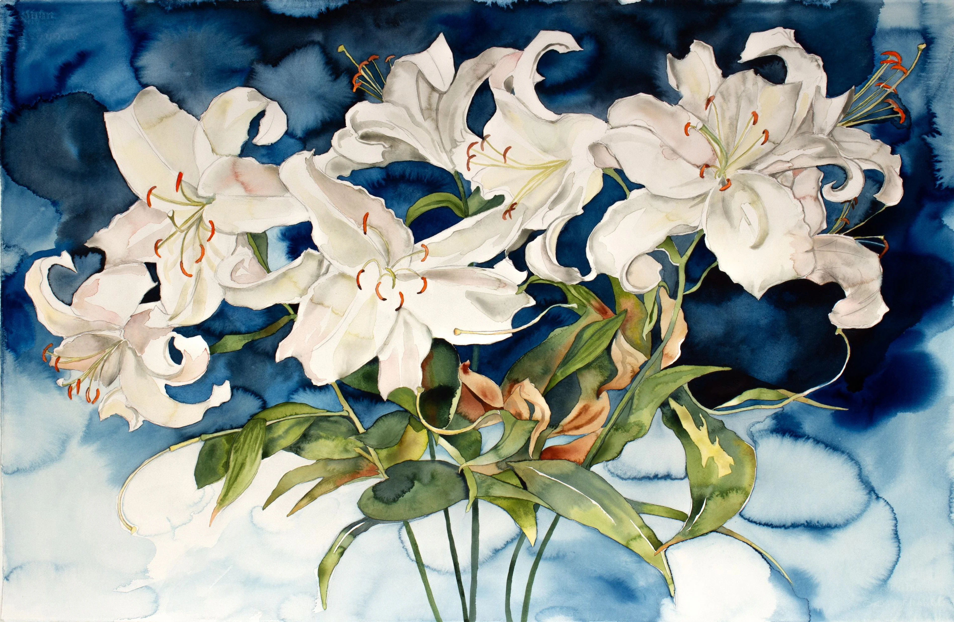 Lily Bouquet - Elizabeth Becker