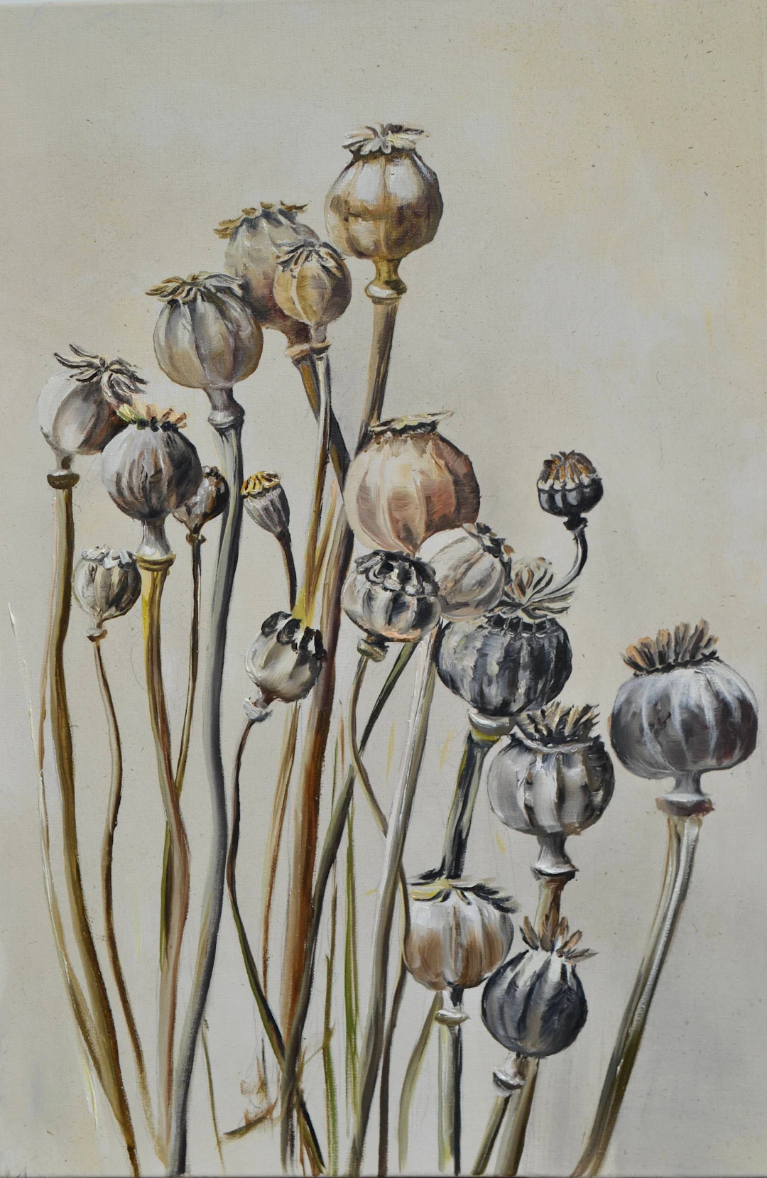 Pastel Poppy Pods - Valeria Radzievska