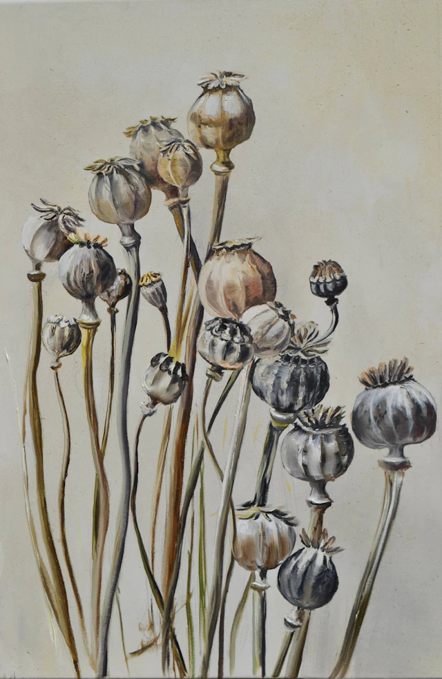 Pastel Poppy Pods - Valeria Radzievska