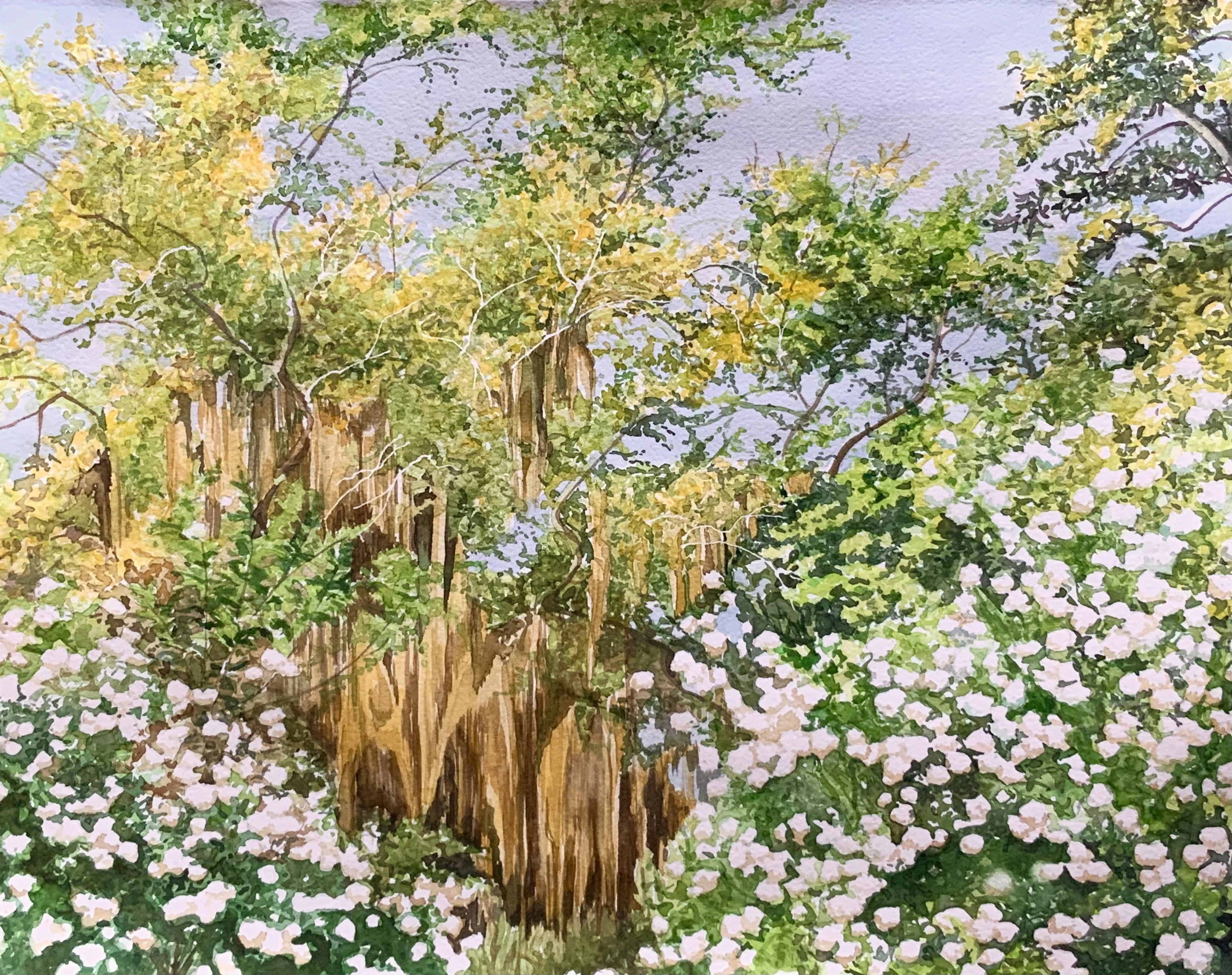 Spanish Moss - Leslie White