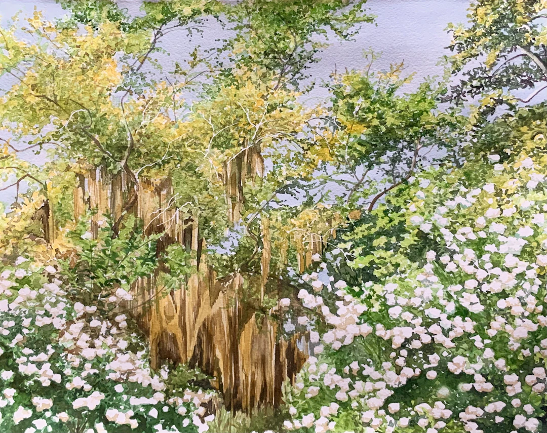 Spanish Moss - Leslie White