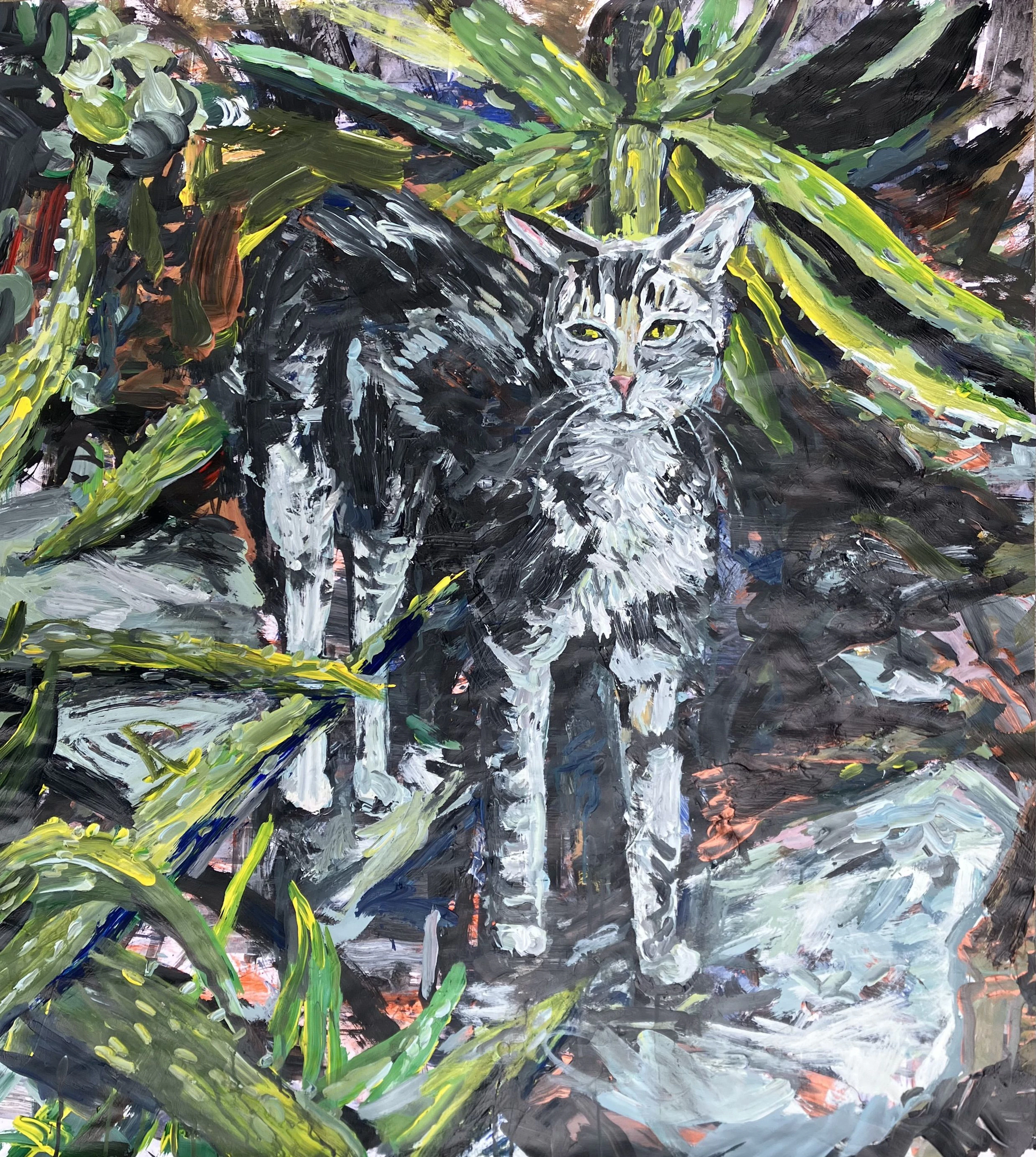 Kitten in the cactus garden - John Kilduff