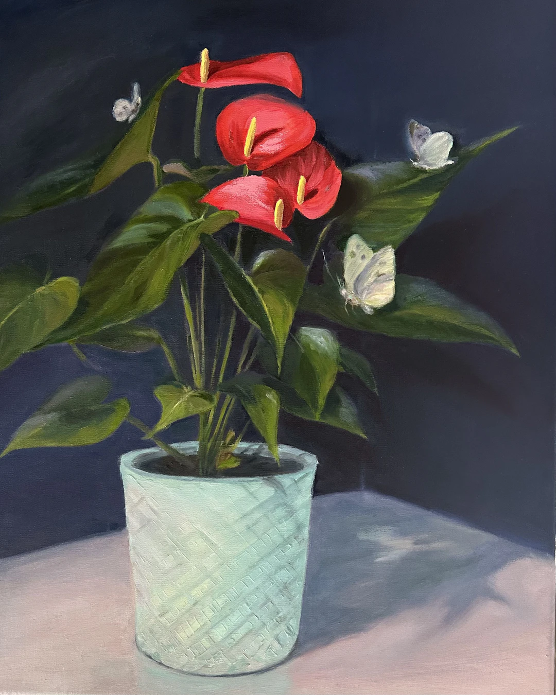 Anthurium - Grace Diehl