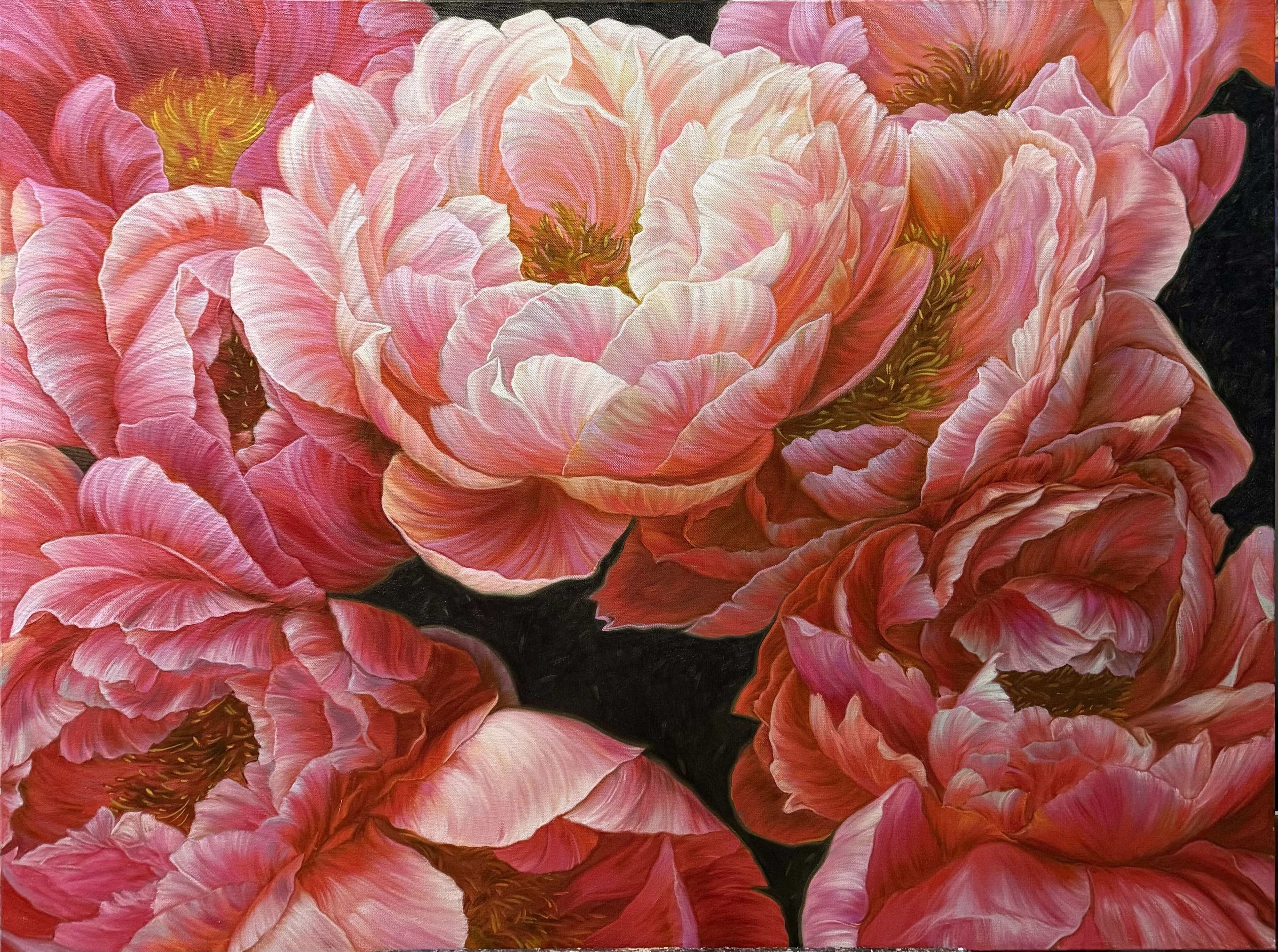 Red peonies on dark background - Elena Podmarkova