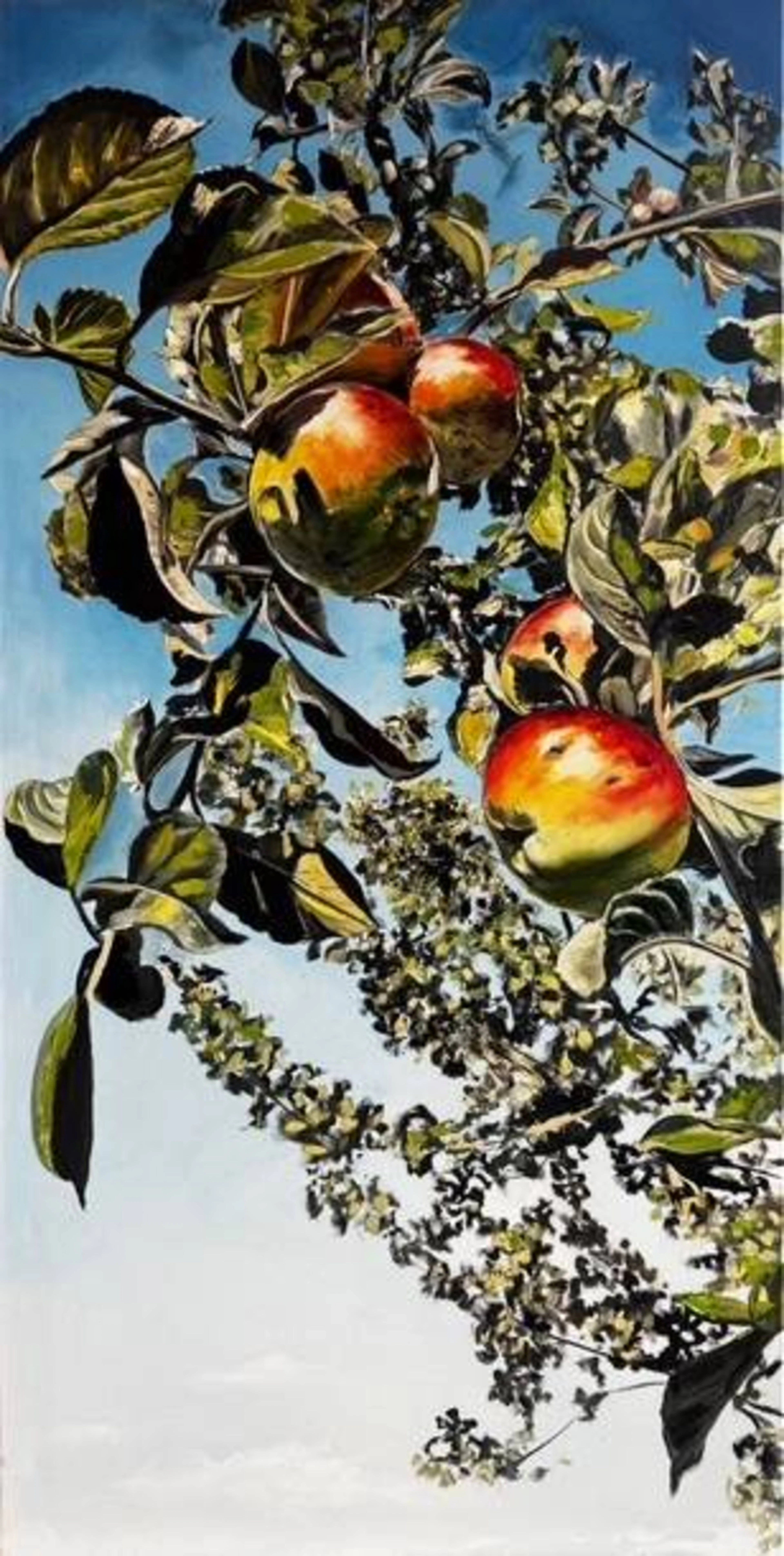 August Apples - Valeria Radzievska