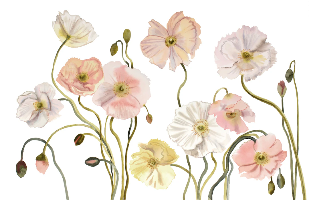 Poppies No. 6 - Elizabeth Becker