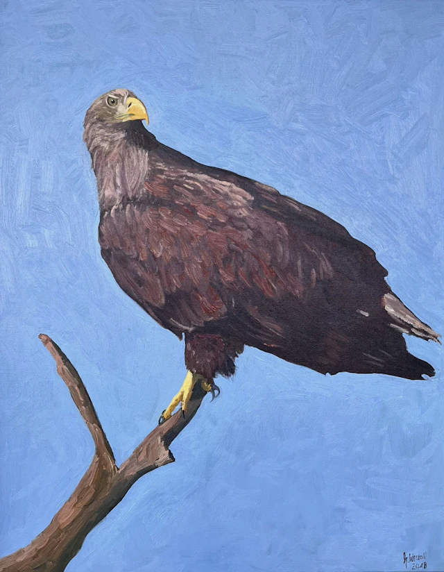 Sea Eagle - Queen of the Skies - Gary Westall