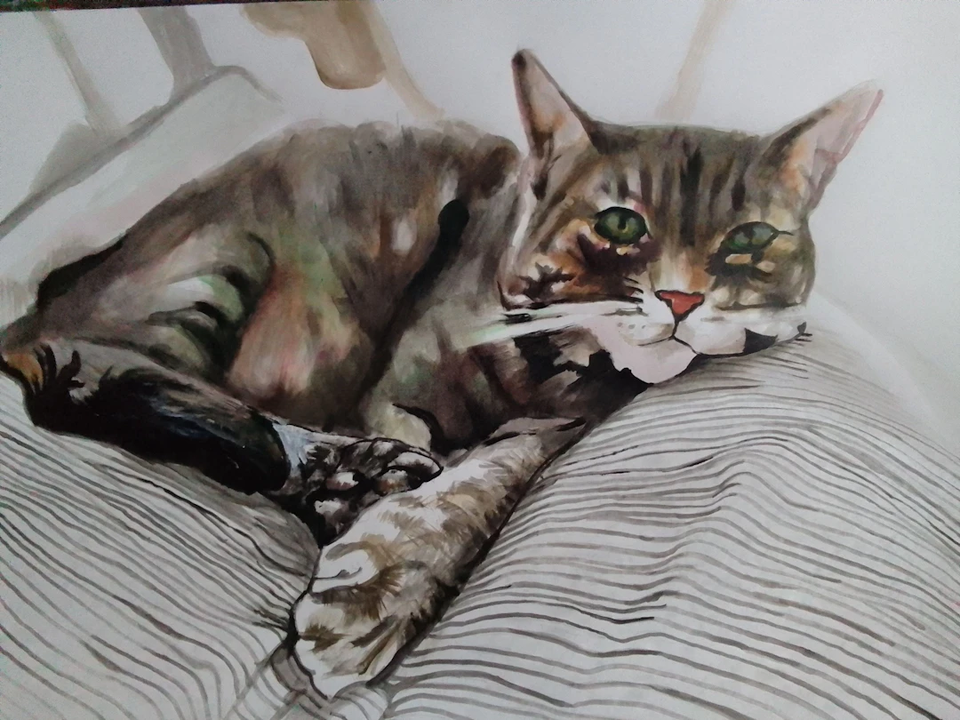 Cat - soso kumsiashvili