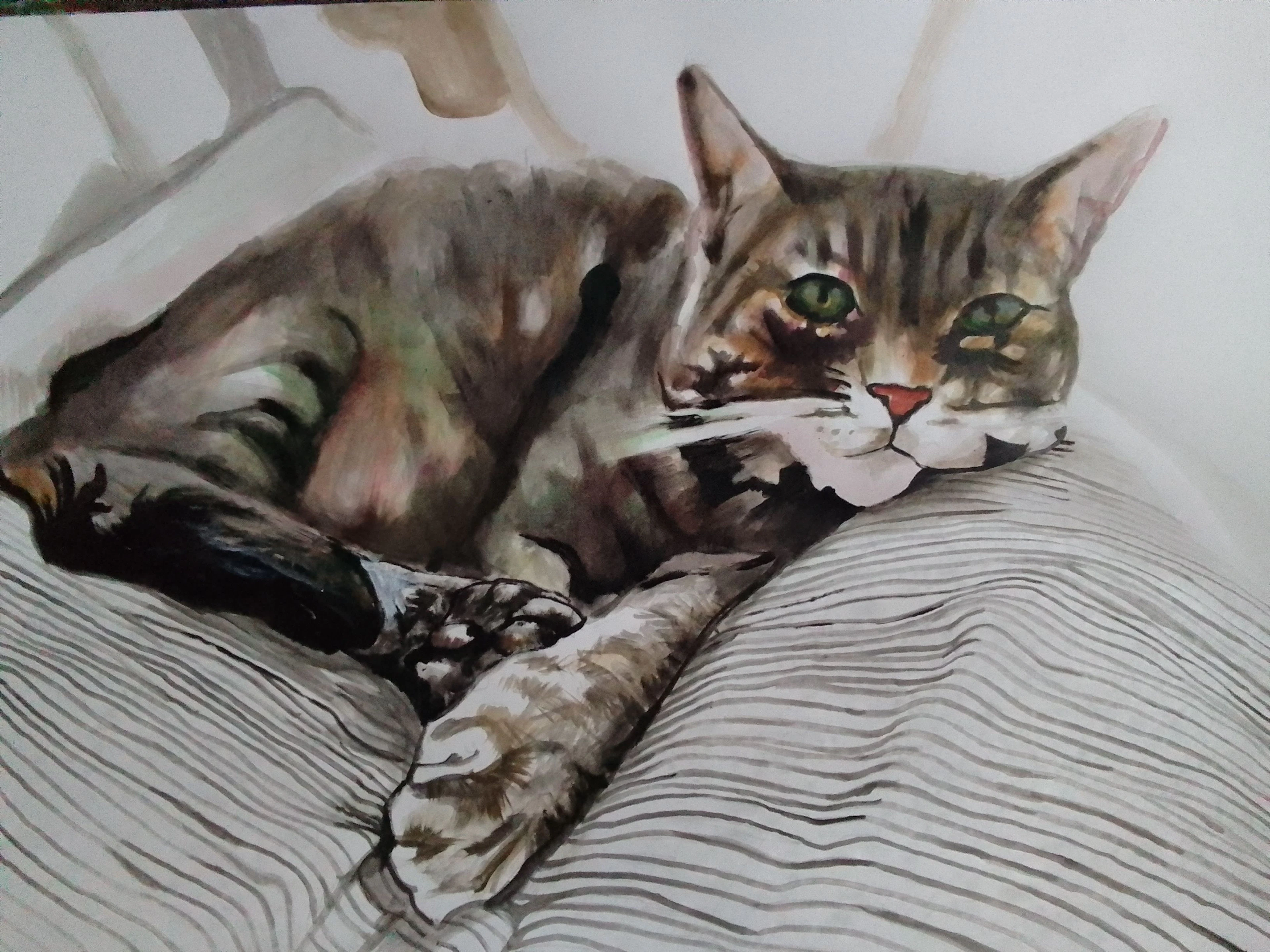 Cat - soso kumsiashvili
