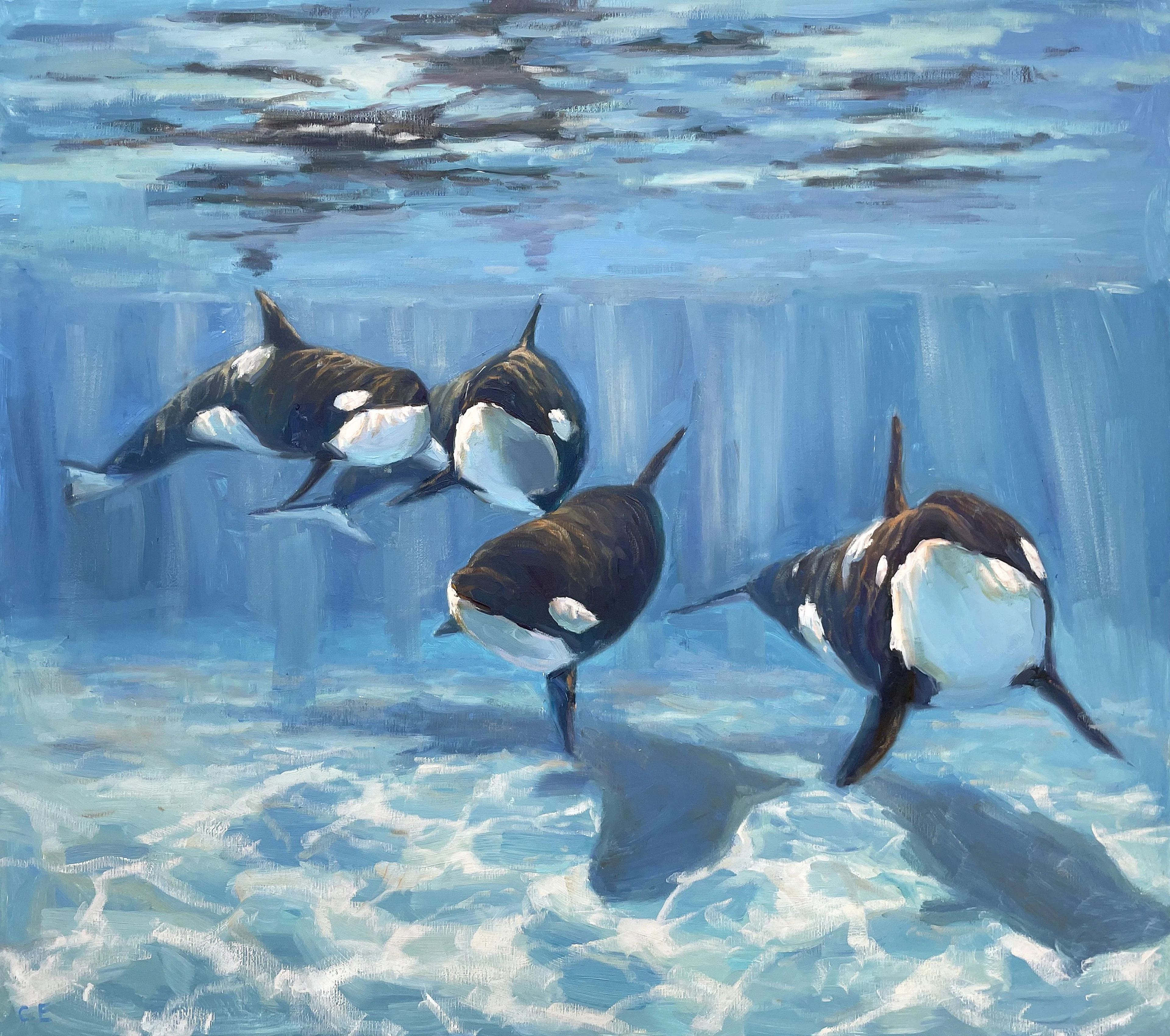 A pod of Killer Whale - Evgeny Chernyakovsky
