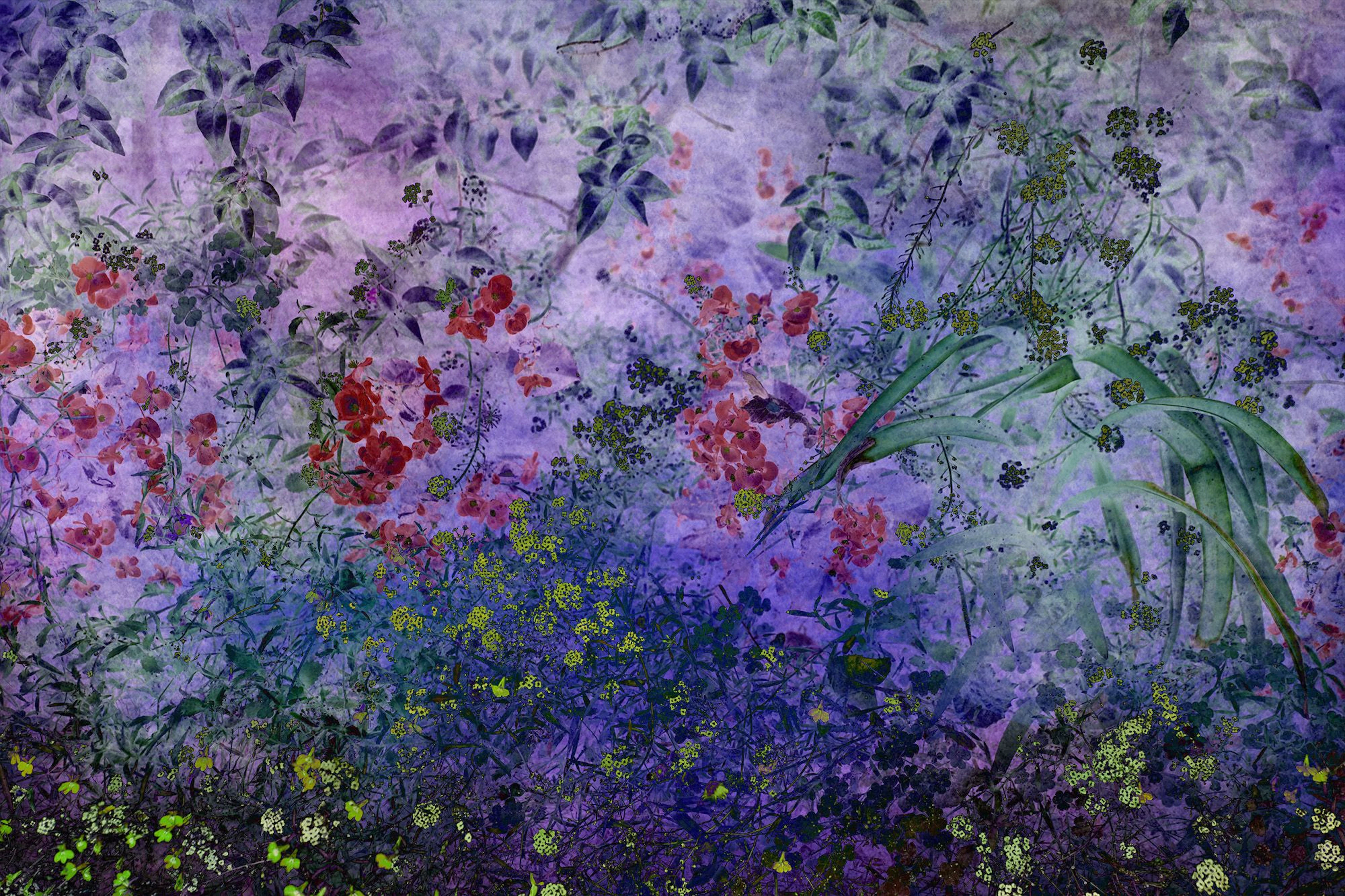Shades of Dreams III - Viet Ha Tran