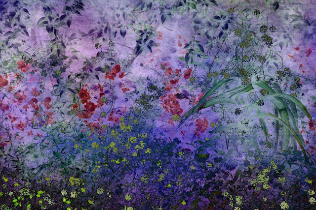 Shades of Dreams III - Viet Ha Tran