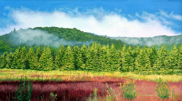 Back 40-Mist in the Hills - Allan O'Marra